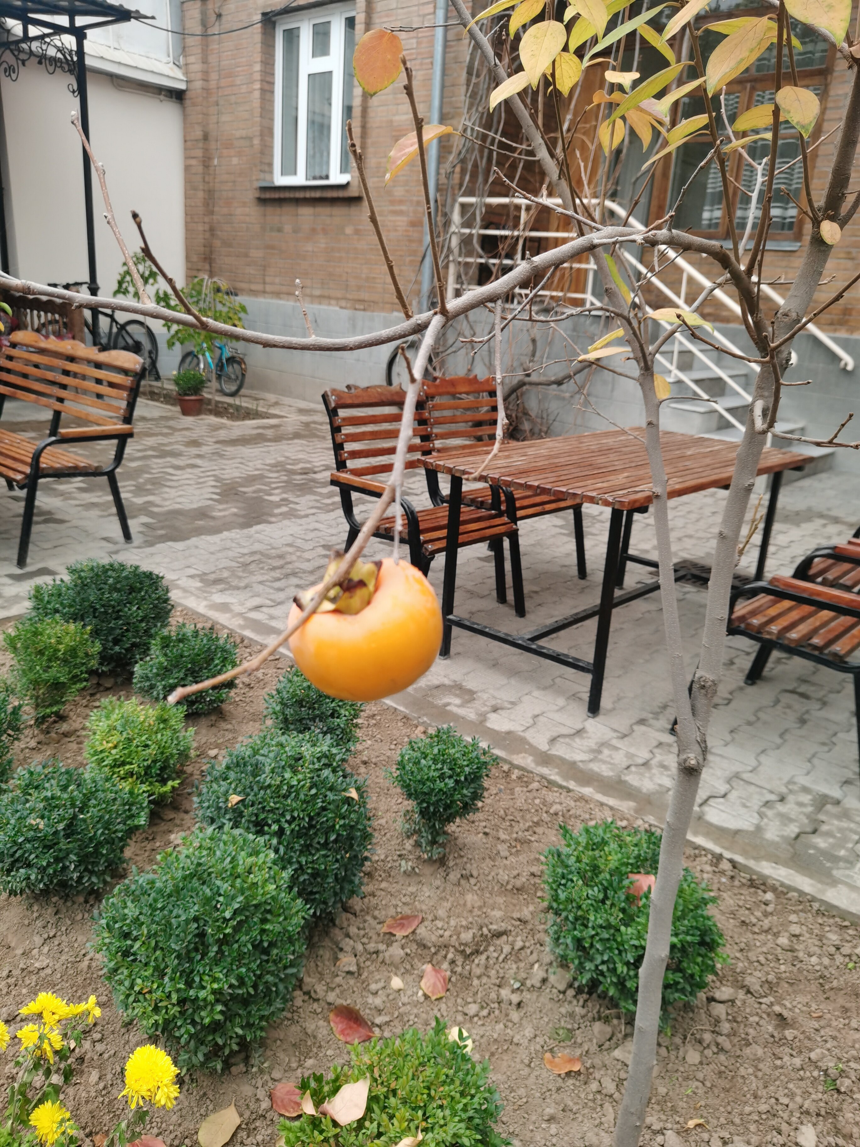 Фото Gulnara Guesthouse