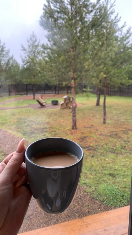 Фото На опушке