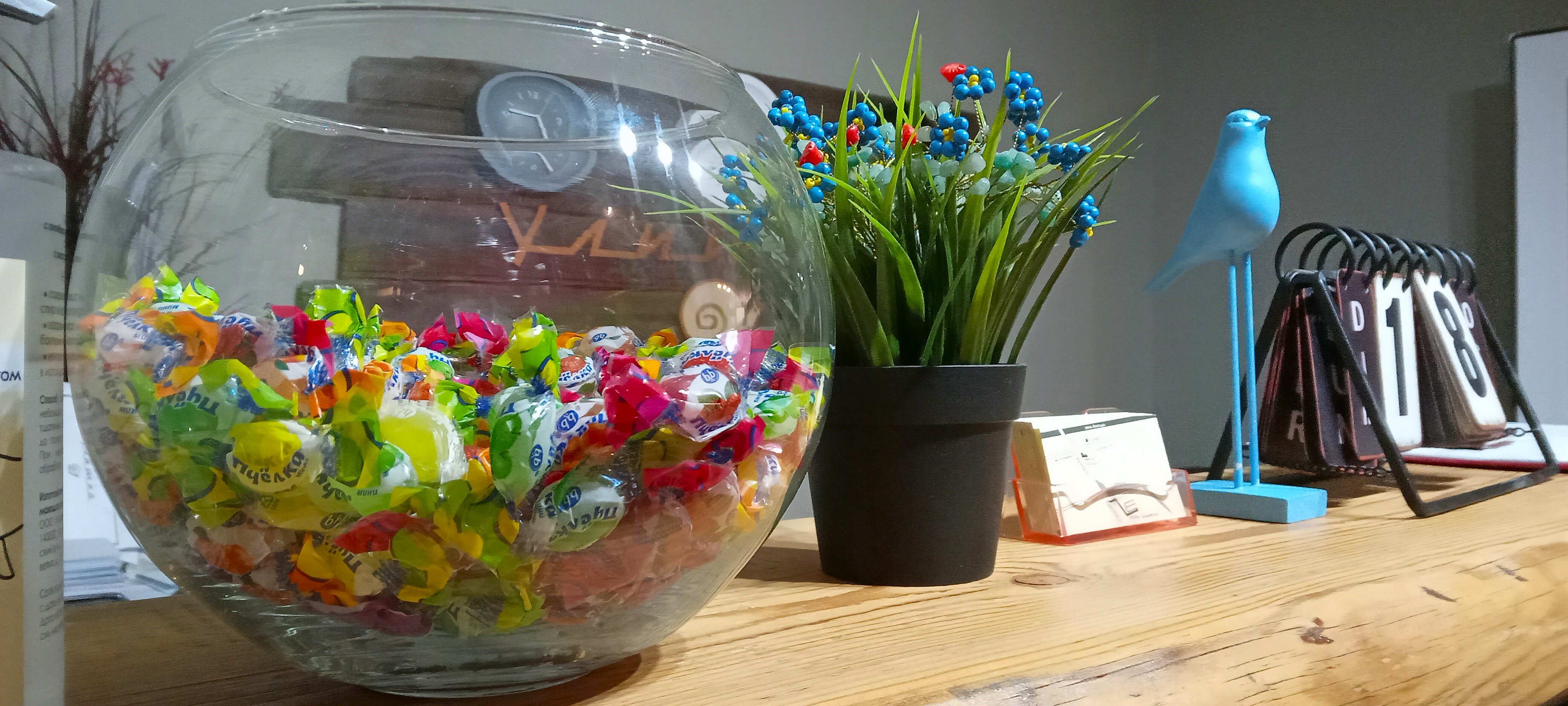 Фото Улитка