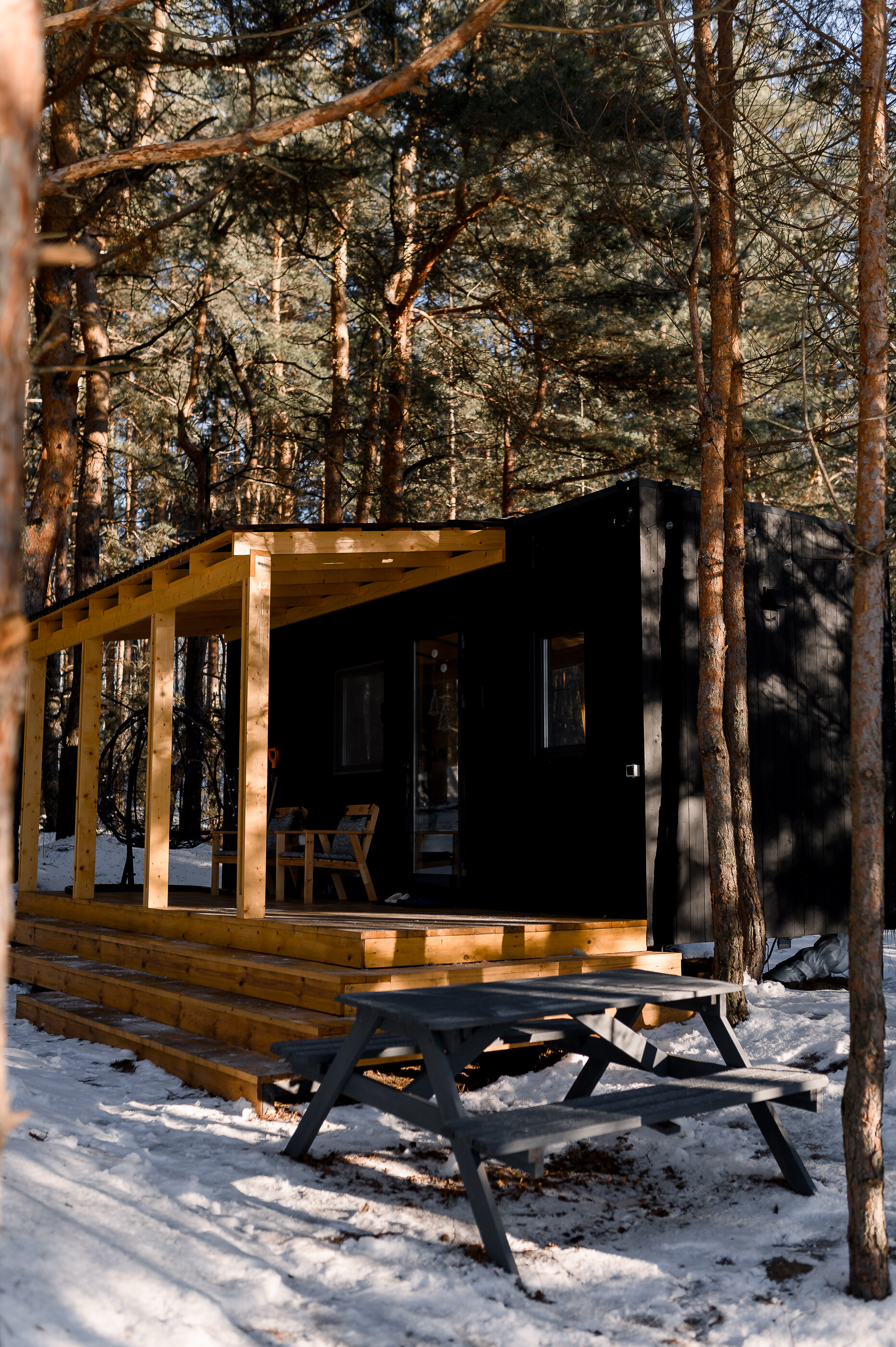 Фото Место под соснами