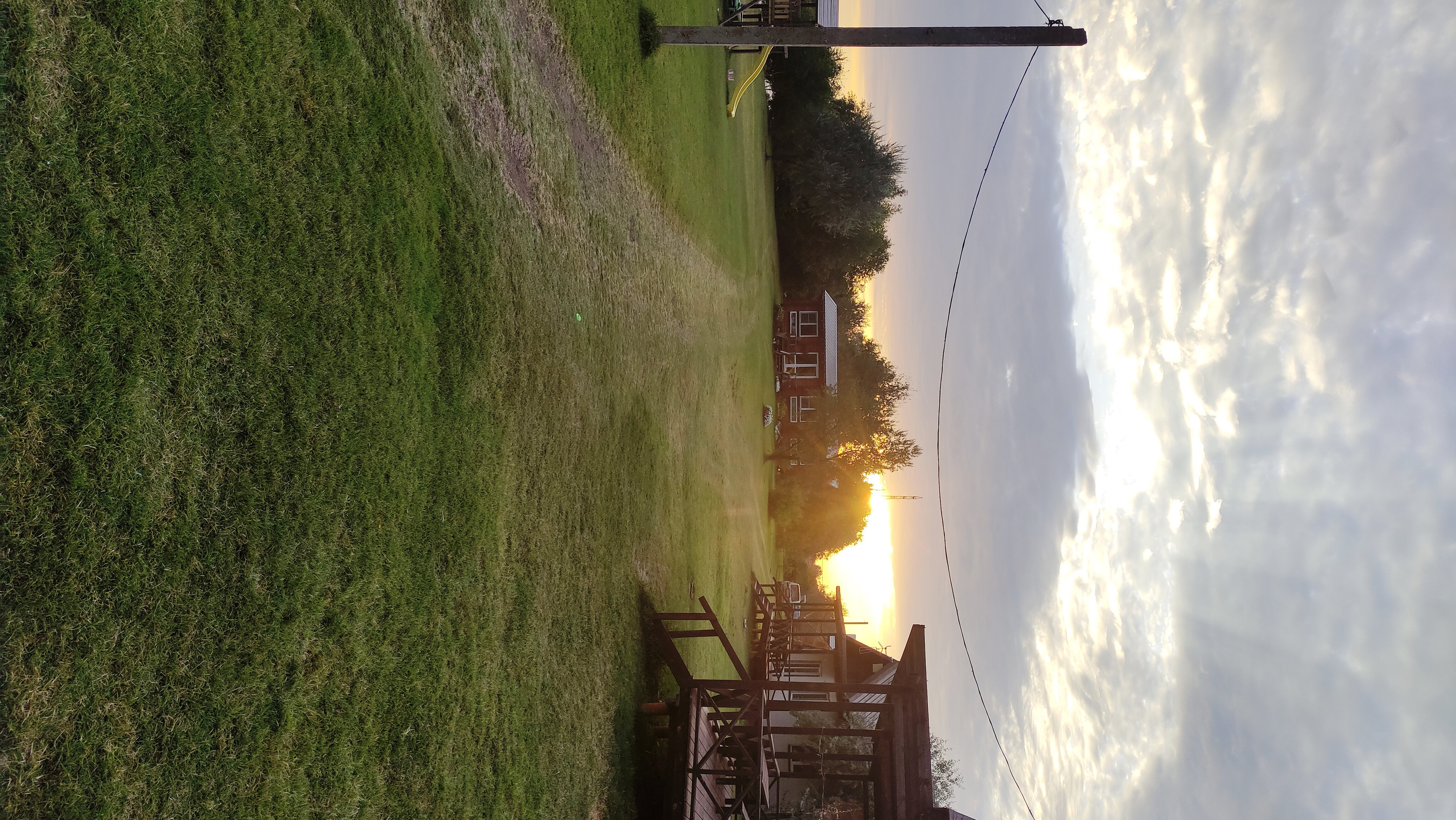 Фото Берлога