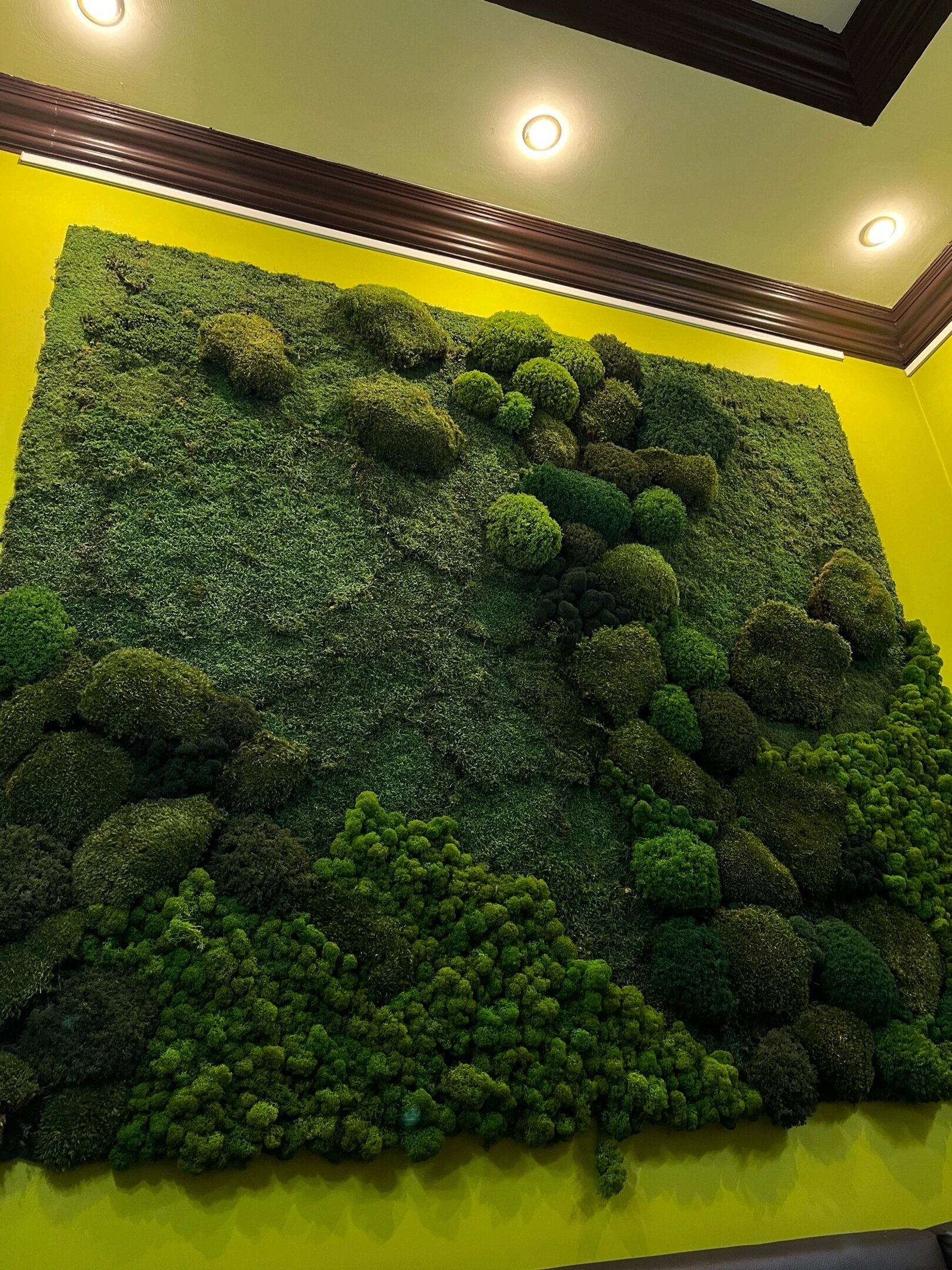 Фото ДжанГо