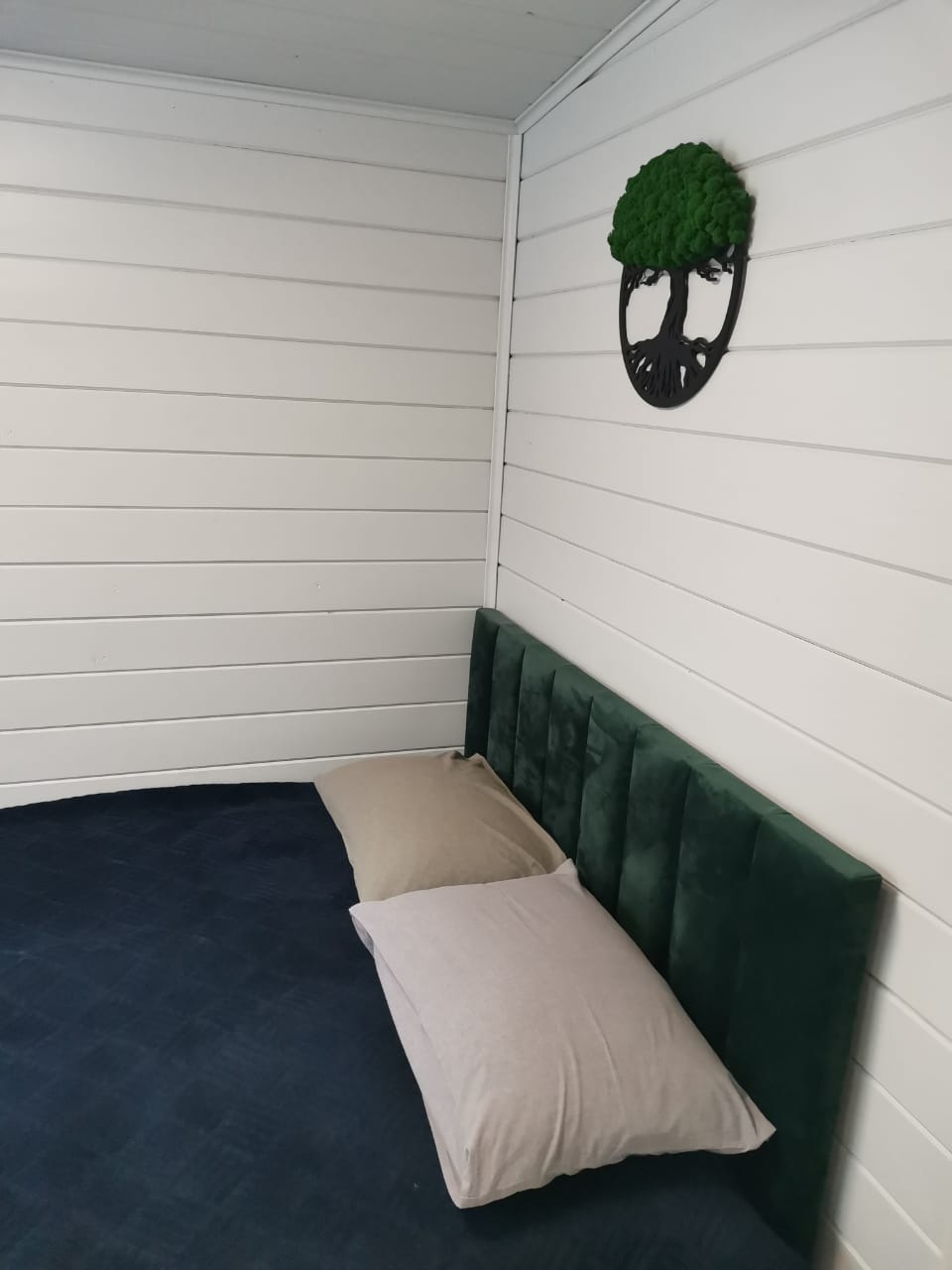 Фото Chalet Needles