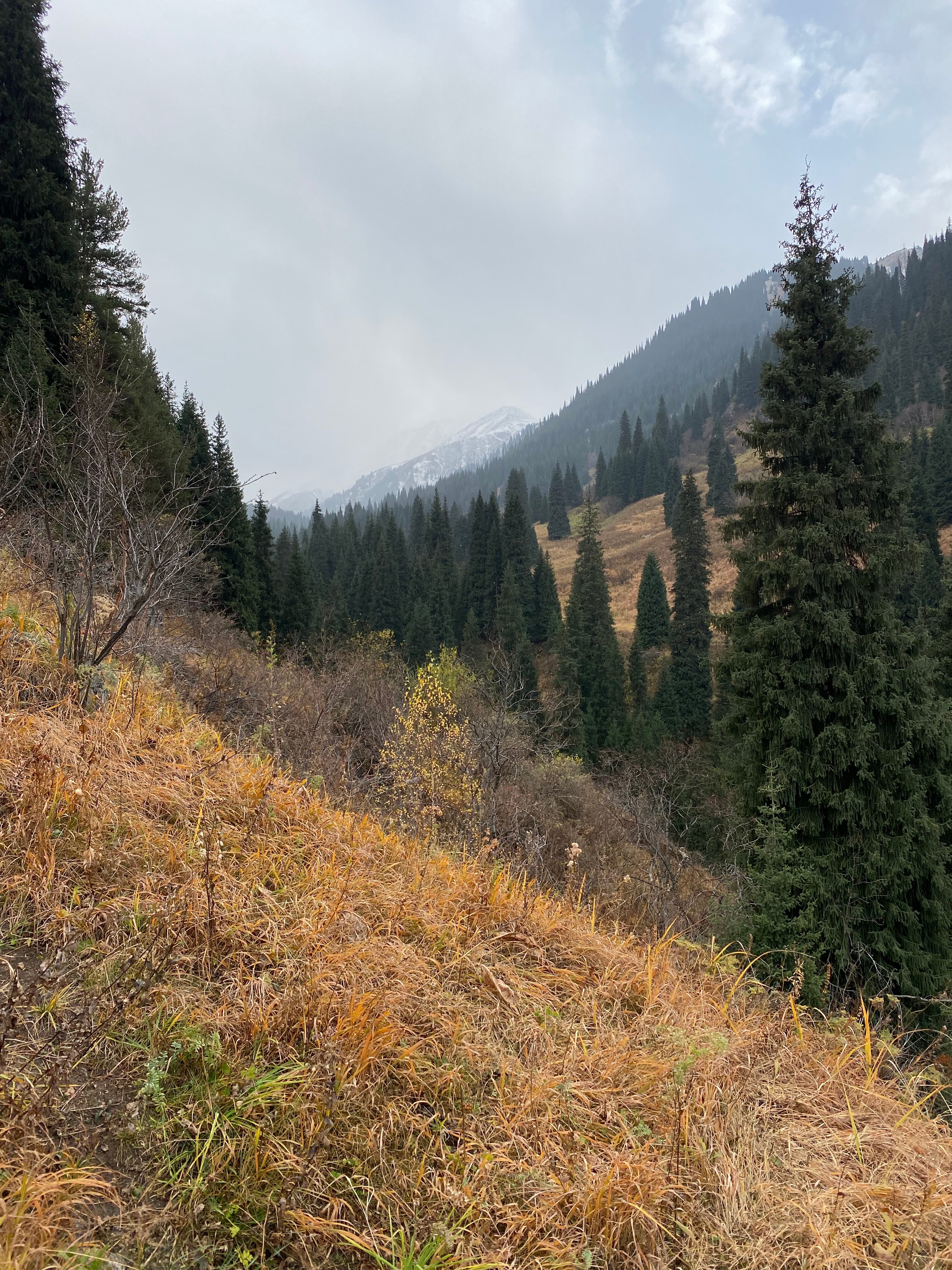 Фото Kazzhol Park Almaty