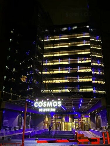 Гостиница Cosmos Selection Moscow Sheremetyevo Airport Hotel