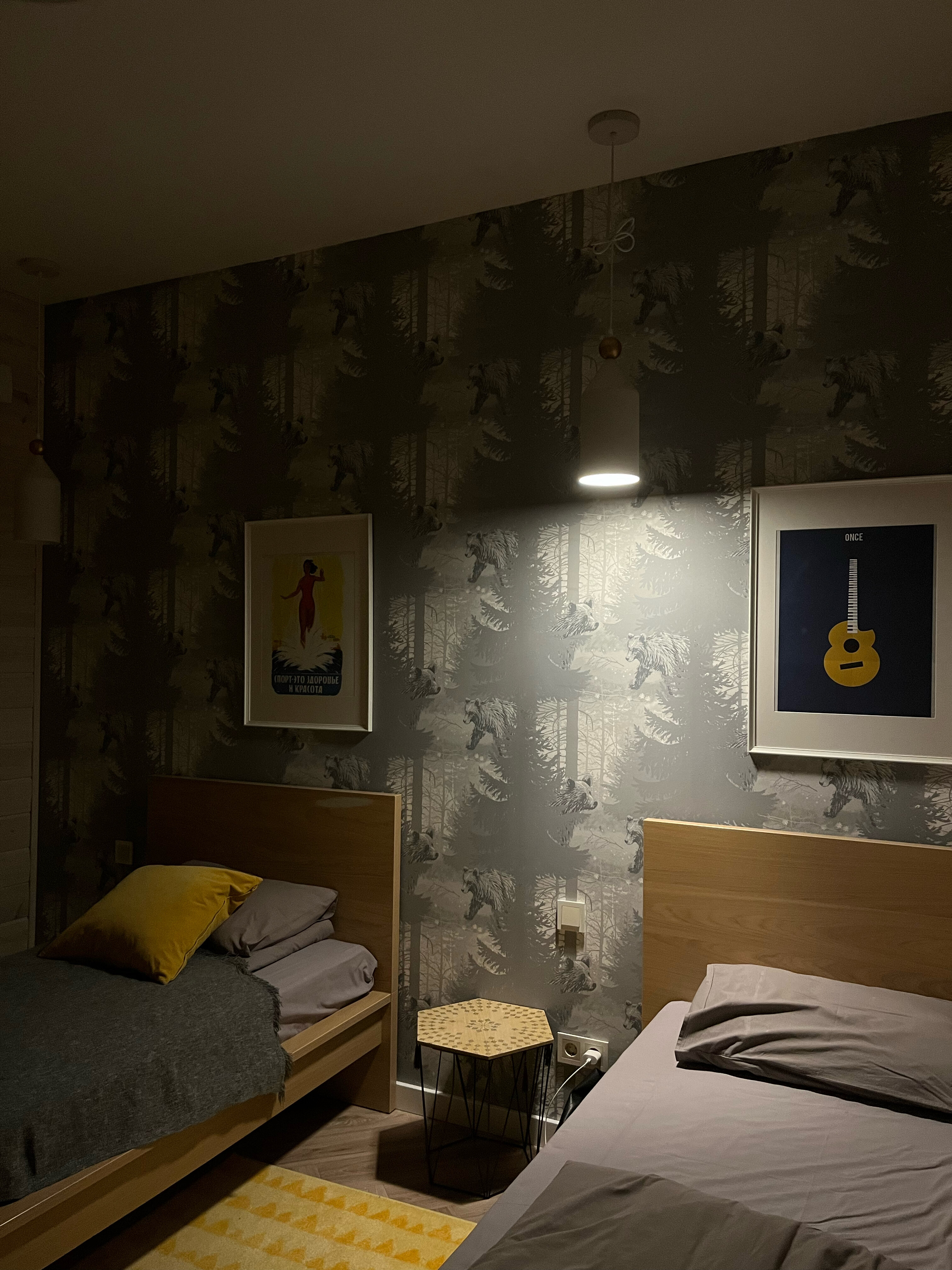 Фото Дуплекс на Правдинском