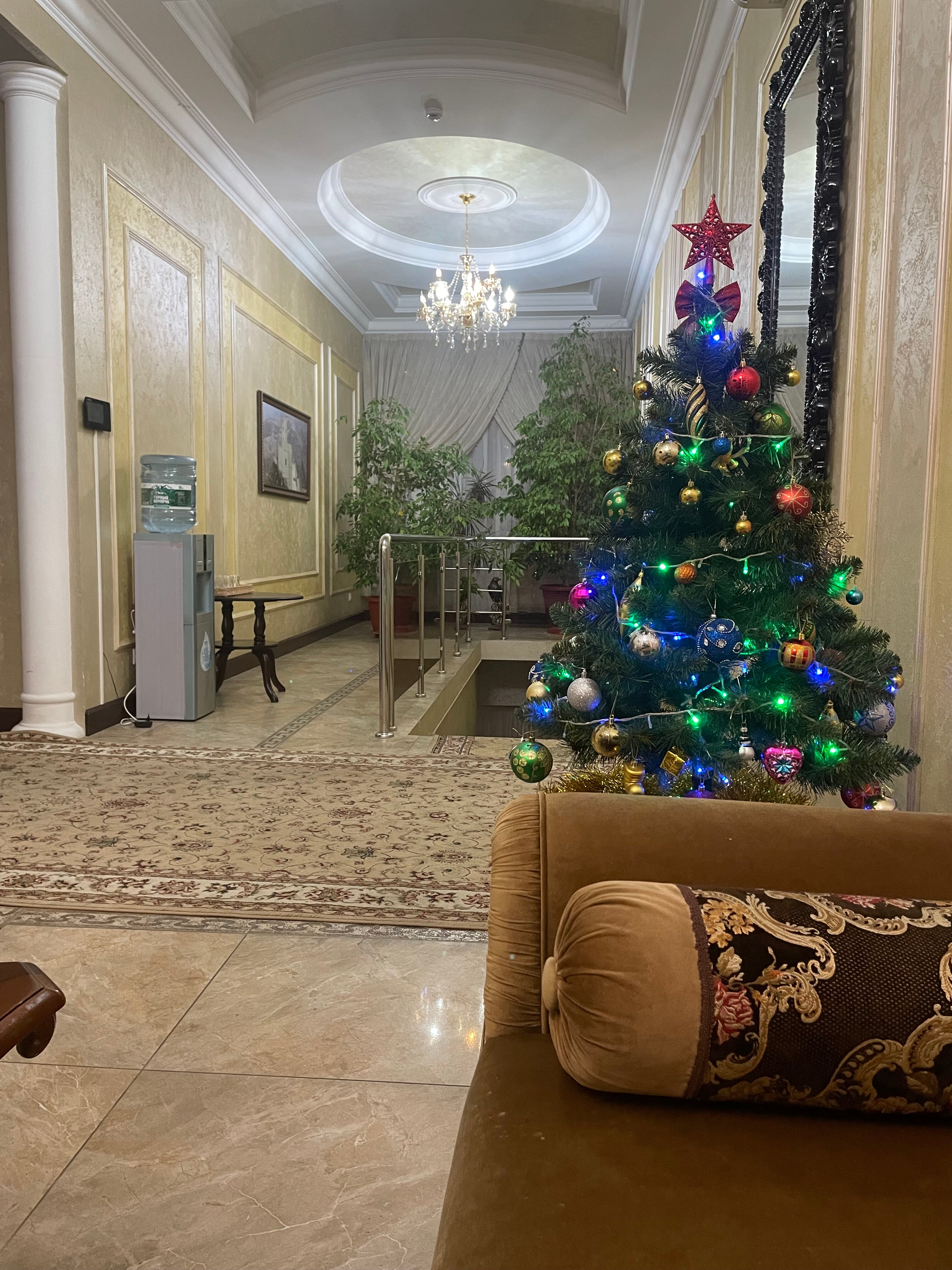 Фото Солнечный