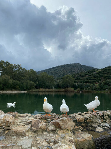 Landmark, attraction Yerel Tarih Evi, Datca, photo