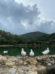 Yerel Tarih Evi (Muğla, Datça, İskele Mah., Talık Plajı Sok), landmark, attraction