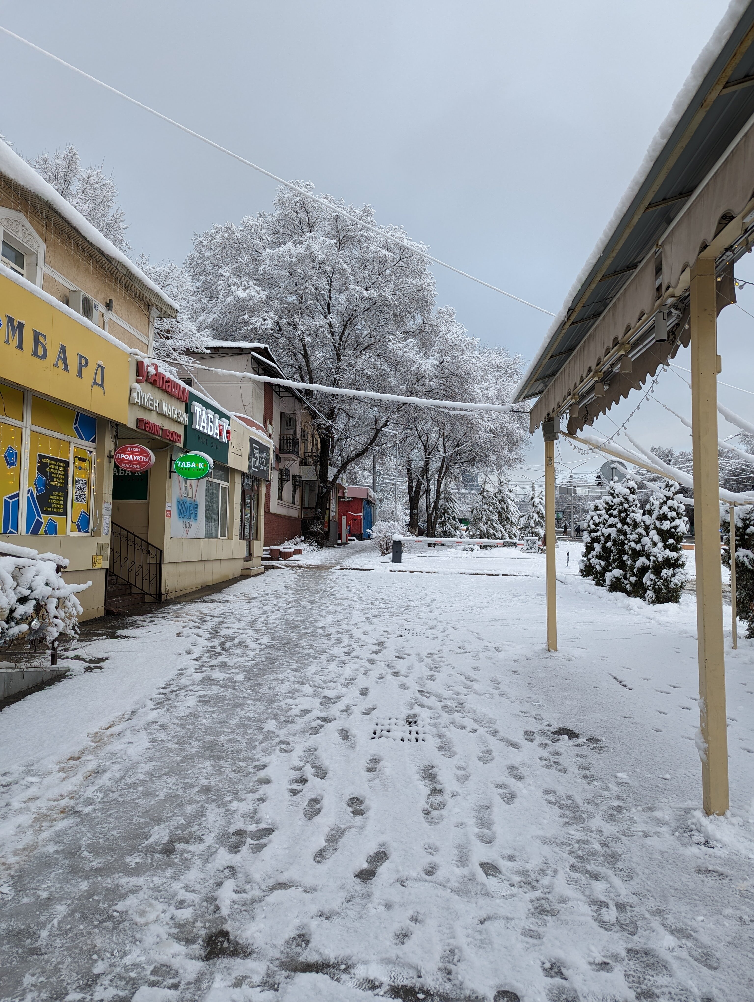 Фото Renion Zyliha