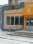 Рыба-пила (Gubkina Street, 17), bar, pub