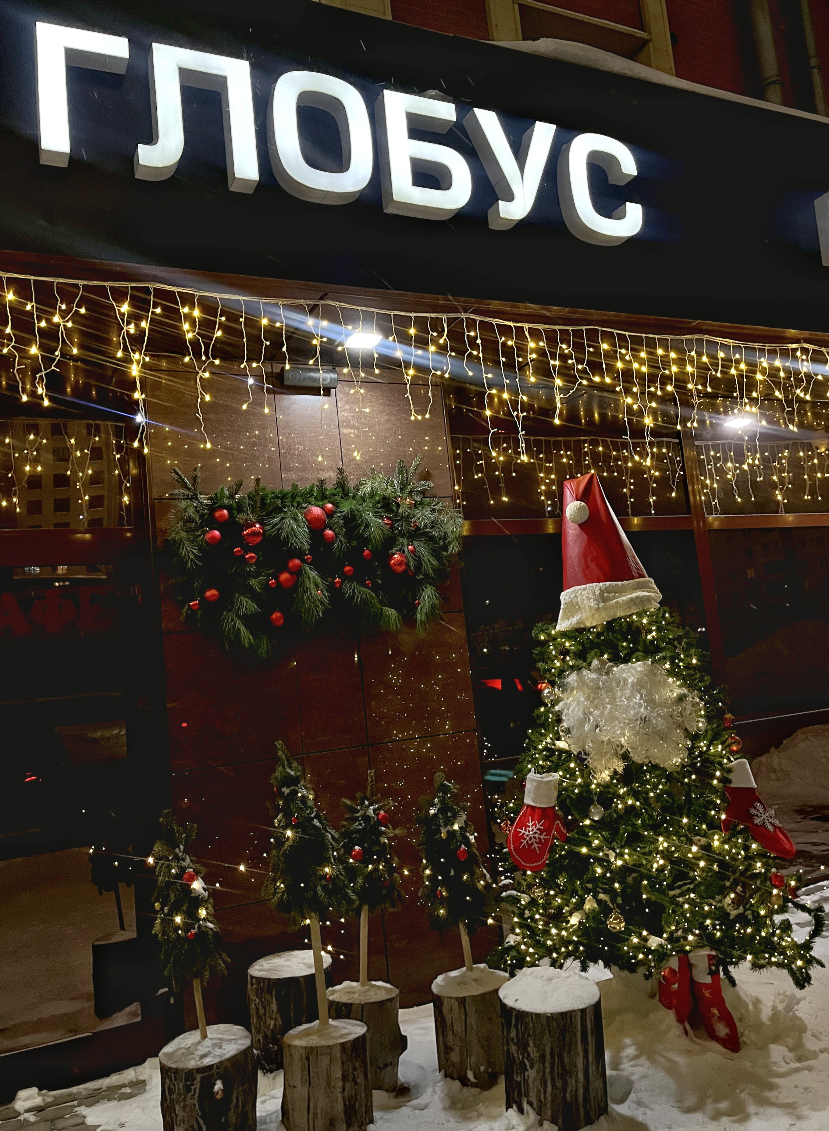 Фото Глобус