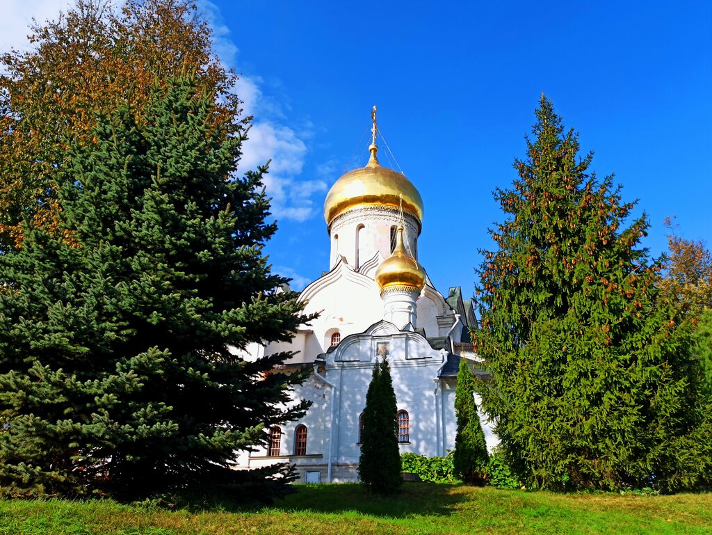 Монастырь Саввино-Сторожевский ставропигиальный мужской монастырь, Москва и Московская область, фото