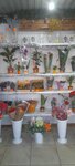 Цветочный № 1 (Kudinovo Village, Tsentralnaya ulitsa, 19В), flower shop
