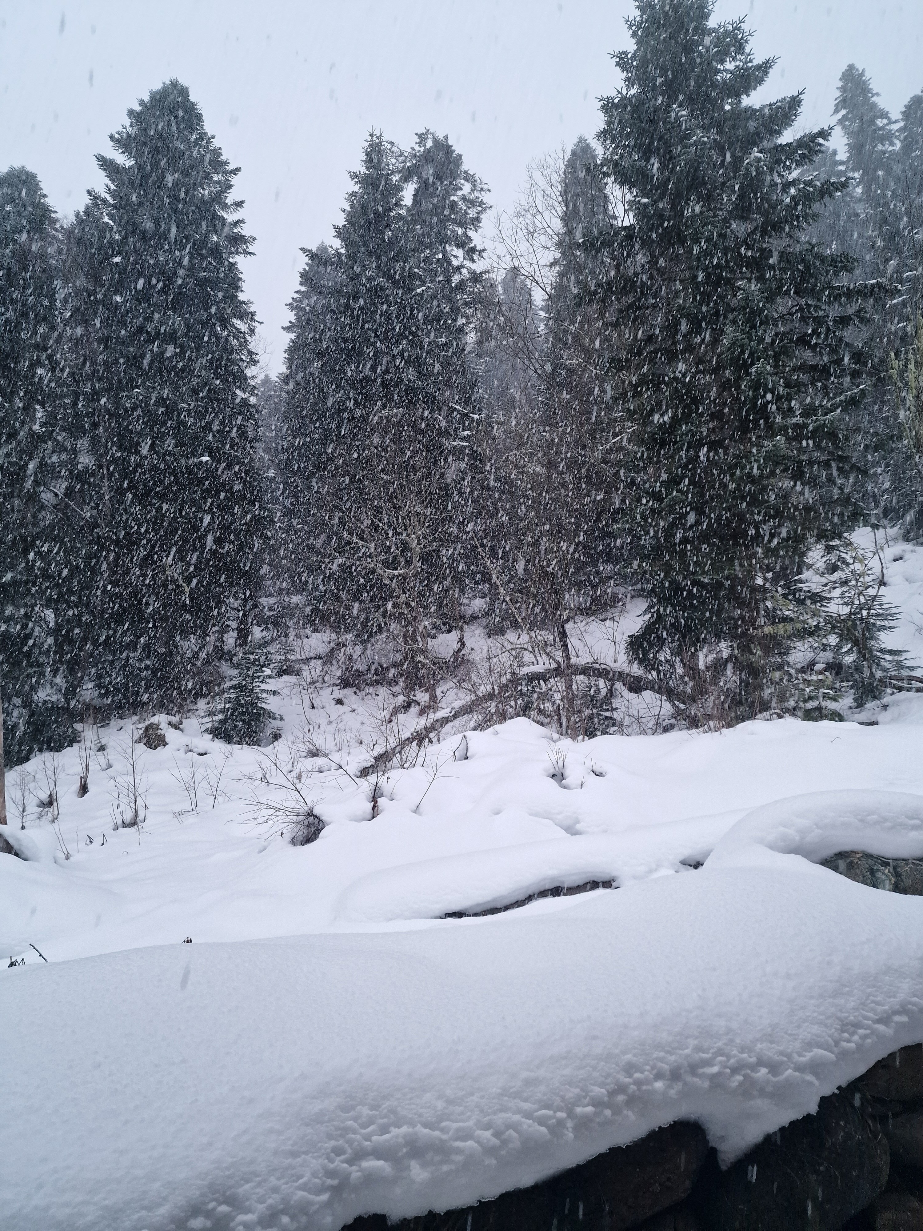 Фото Nart el Shale