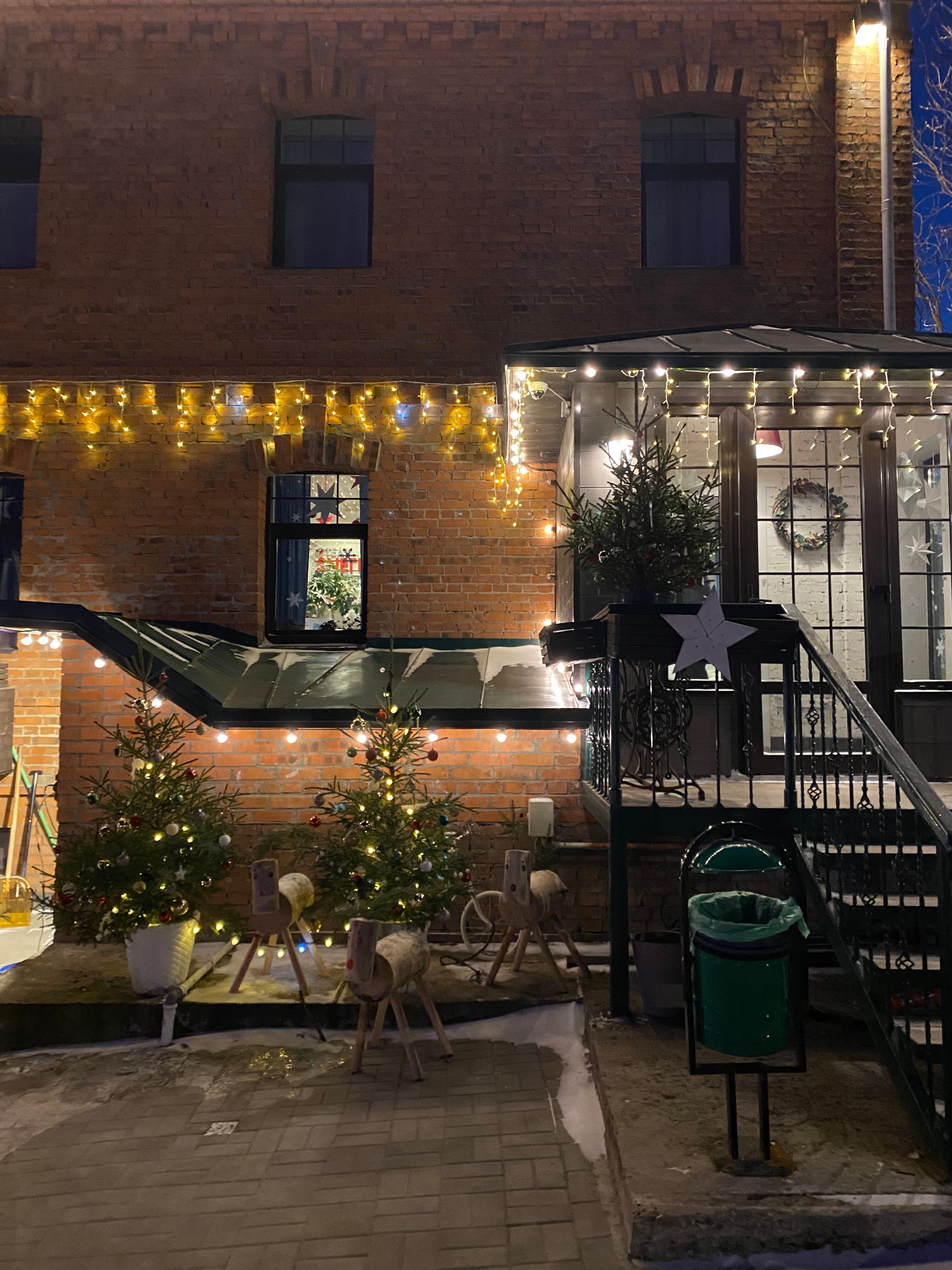 Фото Снегирь