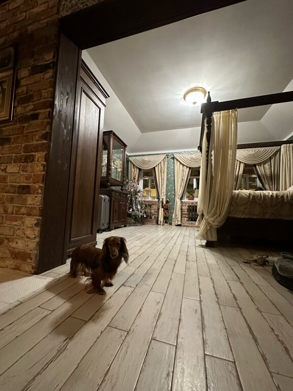 Фото Мадемуазель Пшёнкина