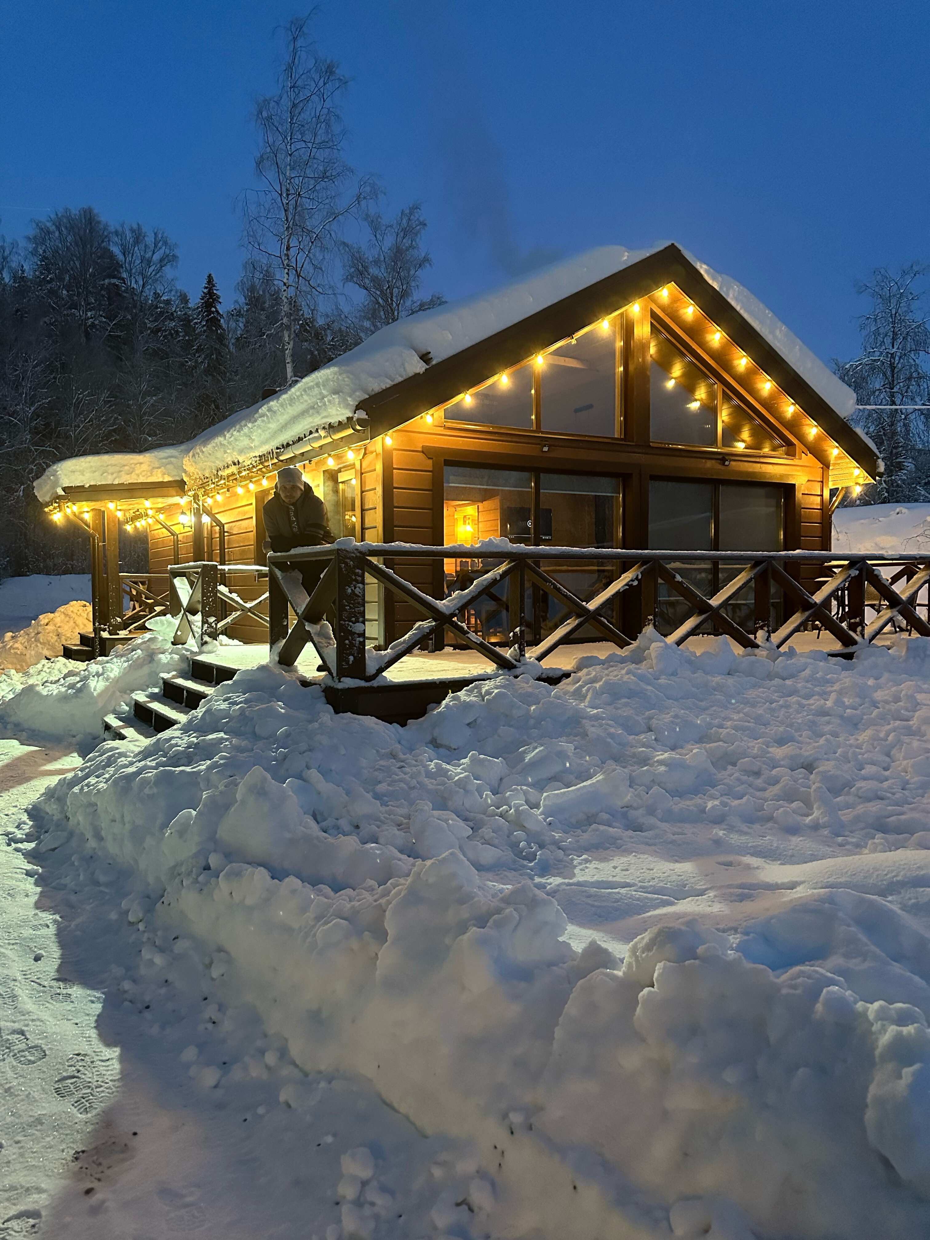 Фото Scandi house