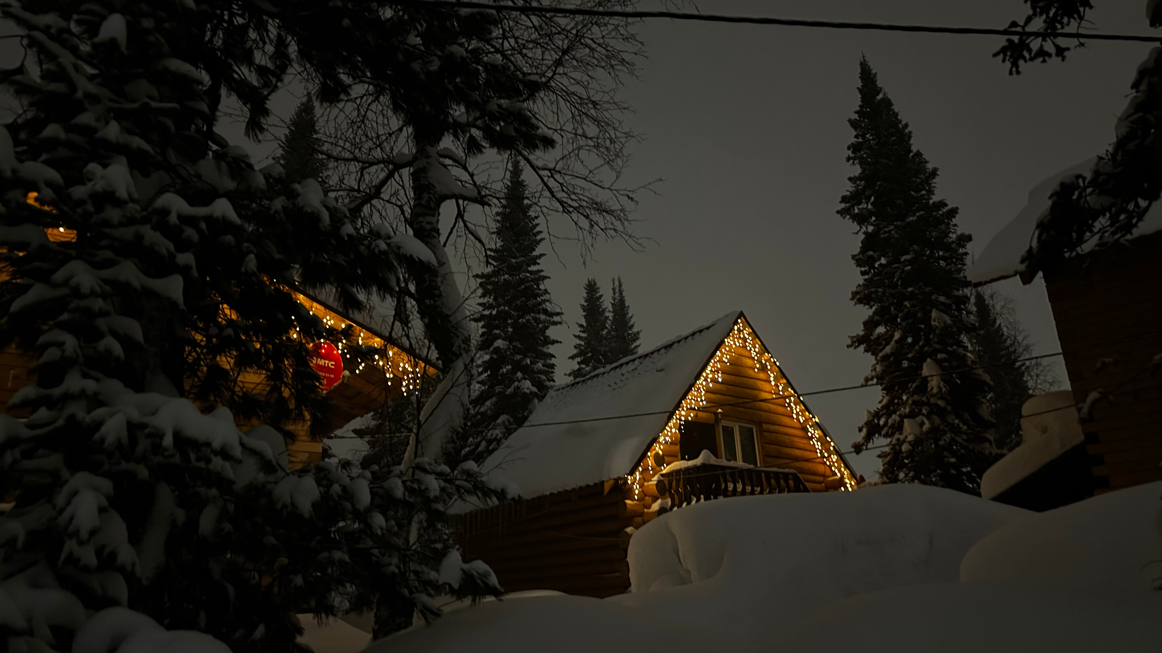 Фото Сила Сибири
