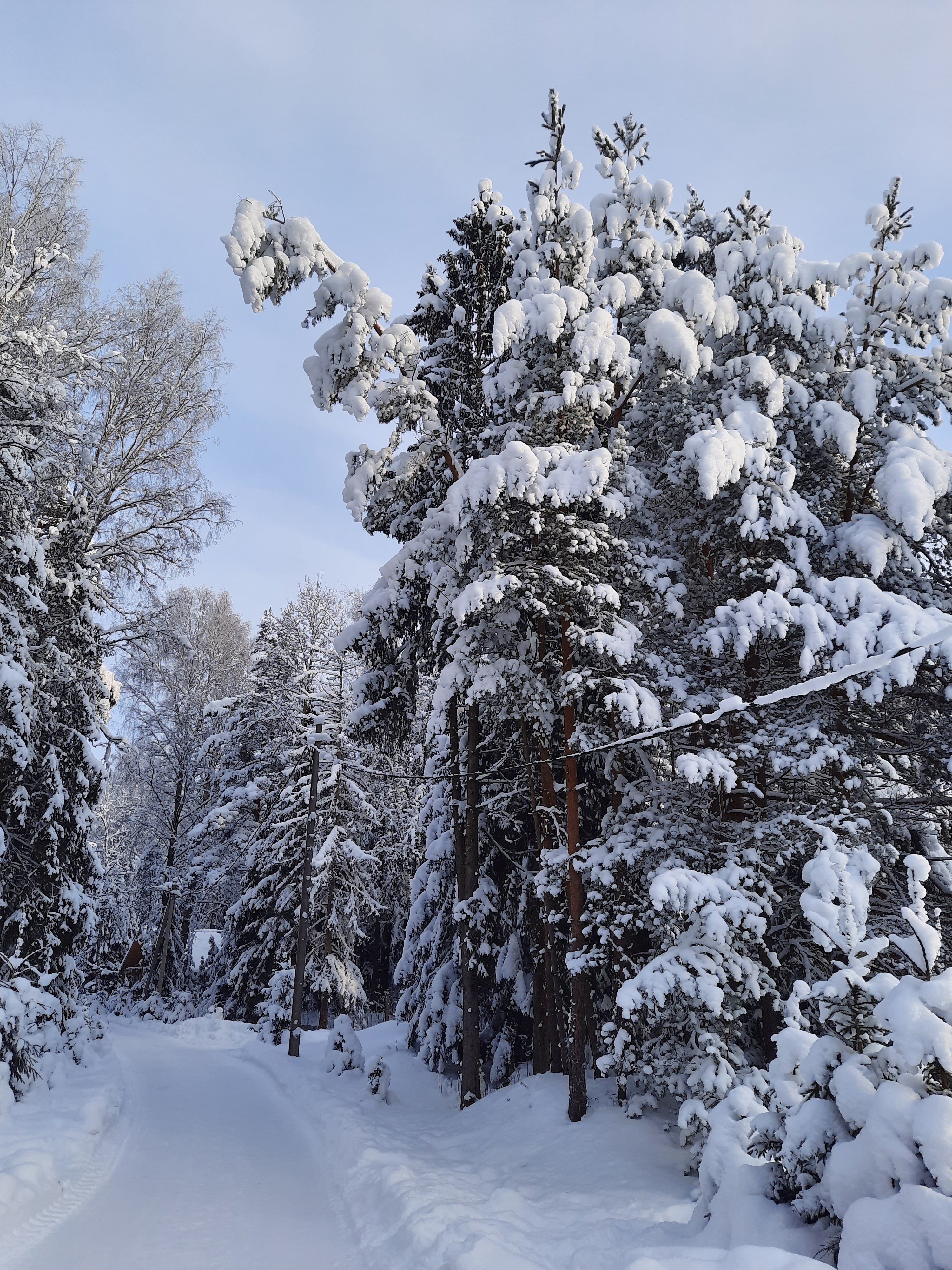 Фото Драгунский ручей