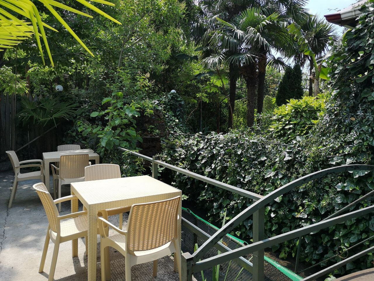 Фото Форелька