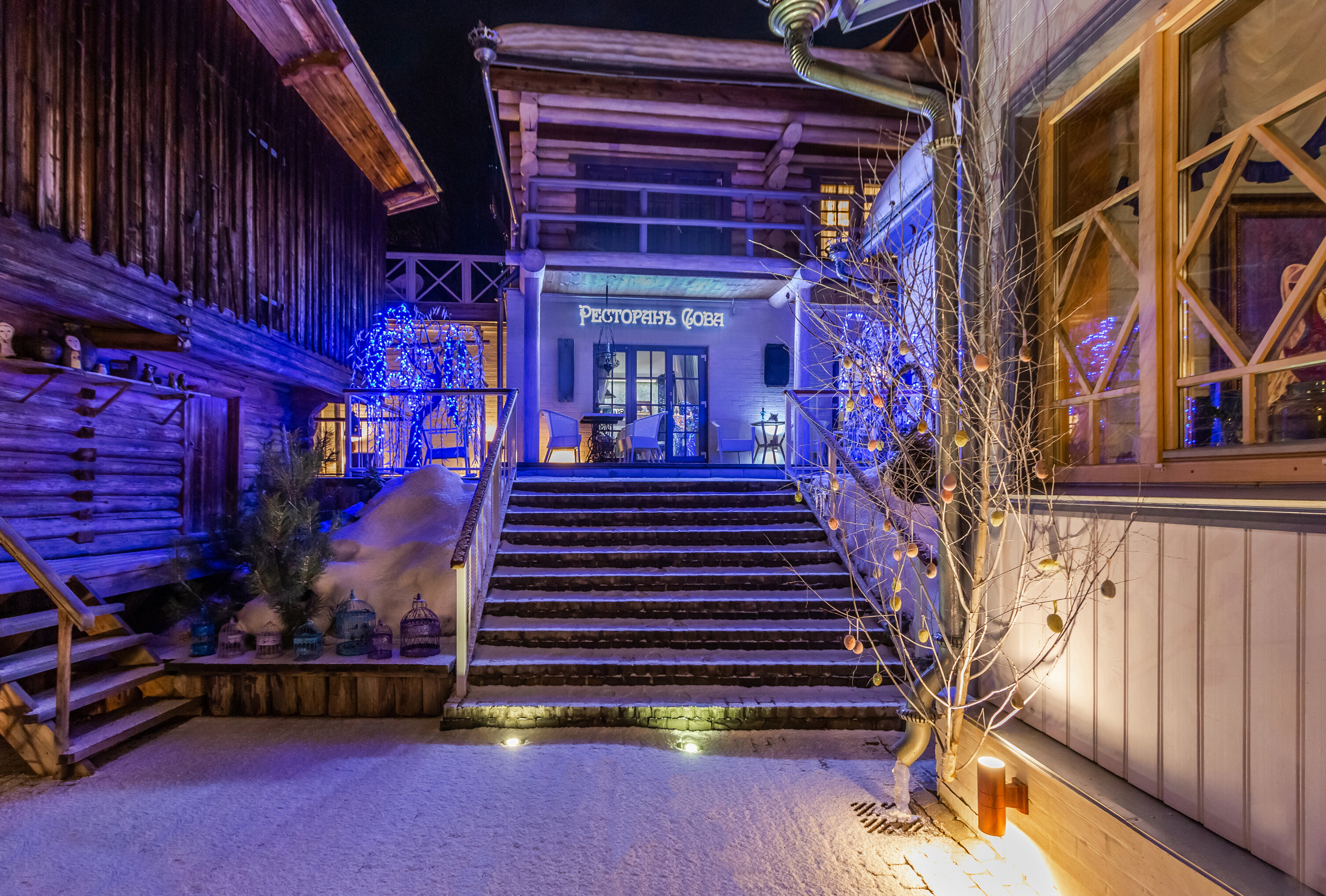 Фото Грандъ Сова