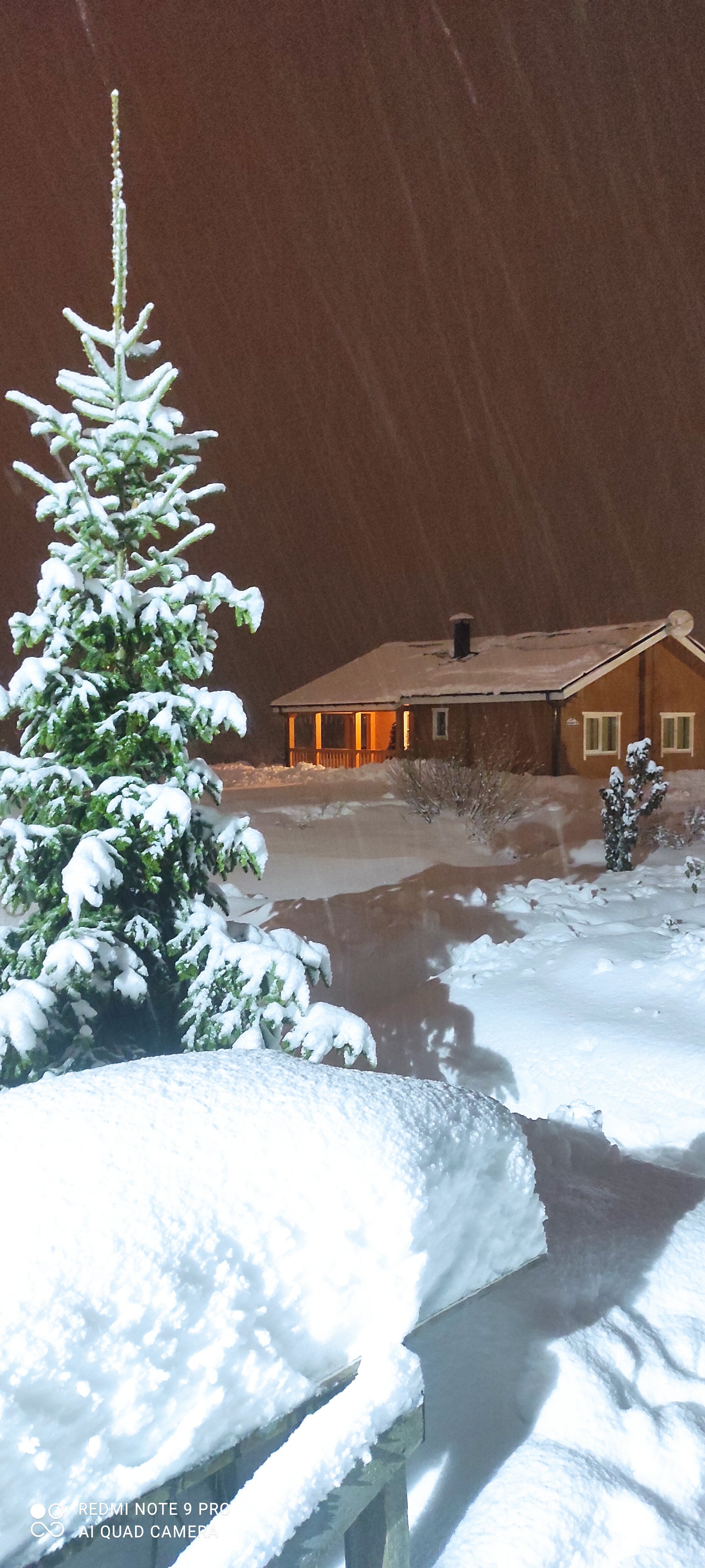 Фото Семейный