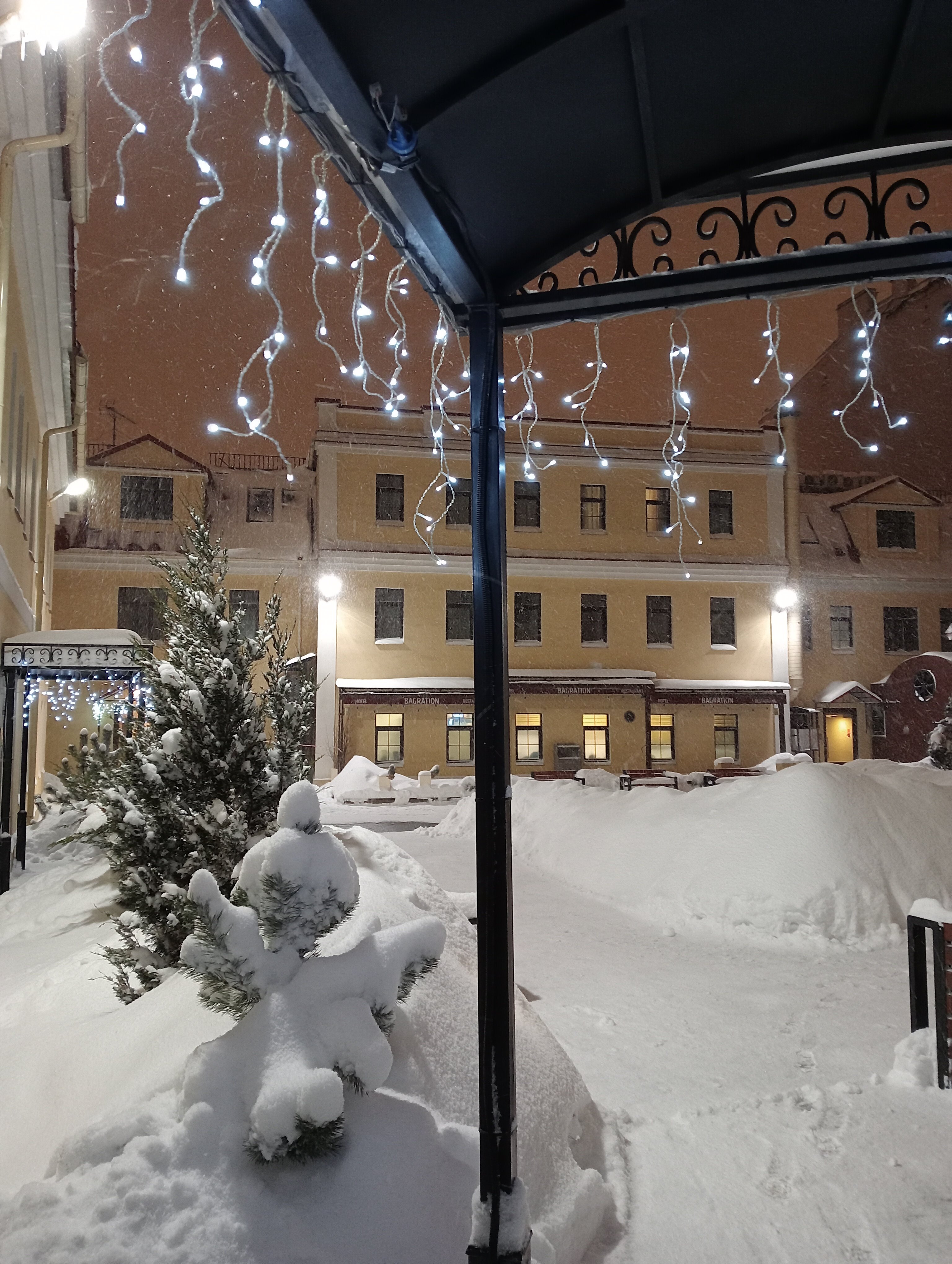 Фото Багратион