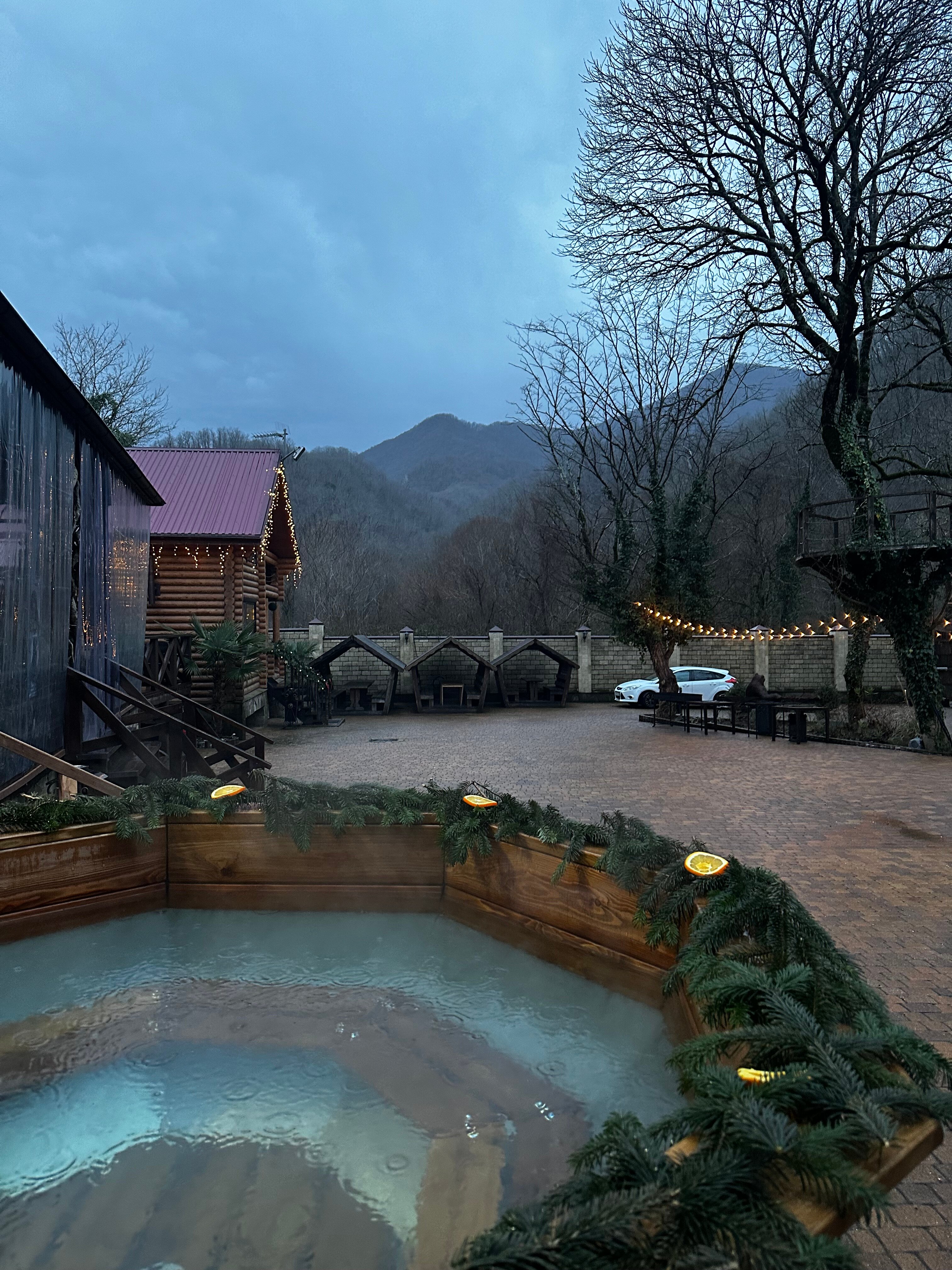 Фото Лесное поместье