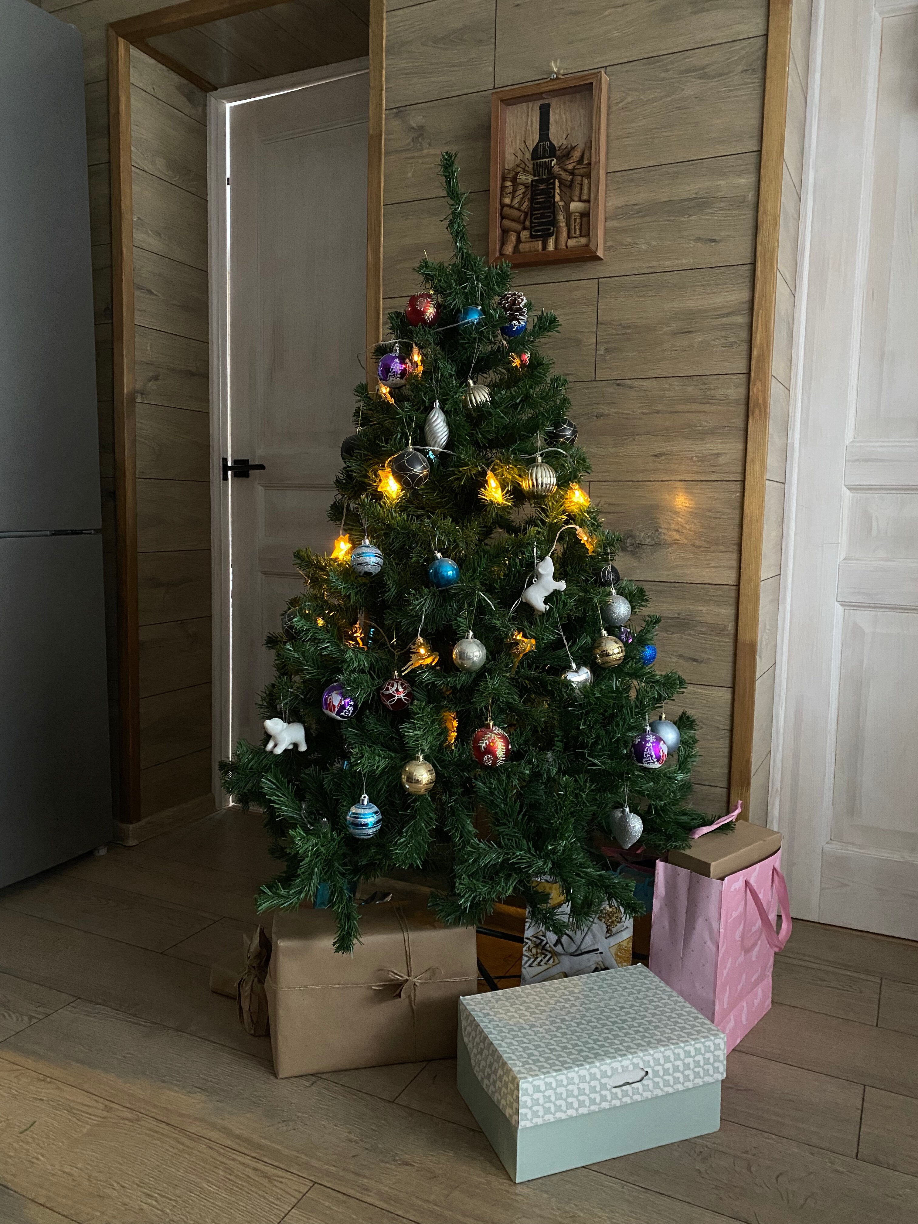 Фото Домик в Разливе