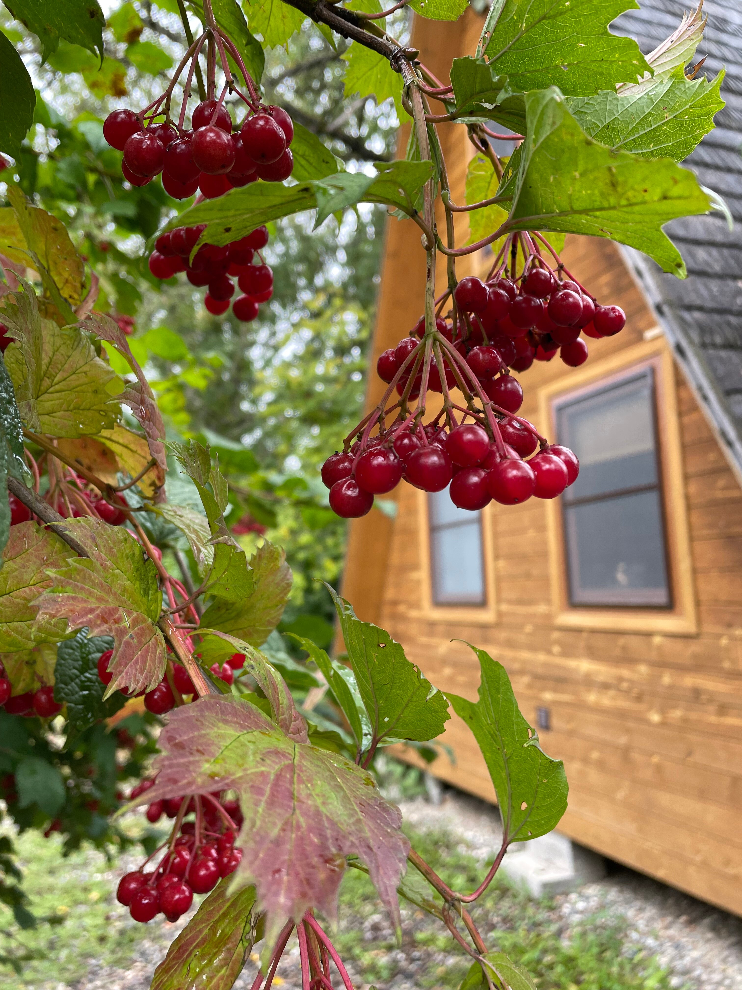 Фото Теремки у реки по дороге на Архыз