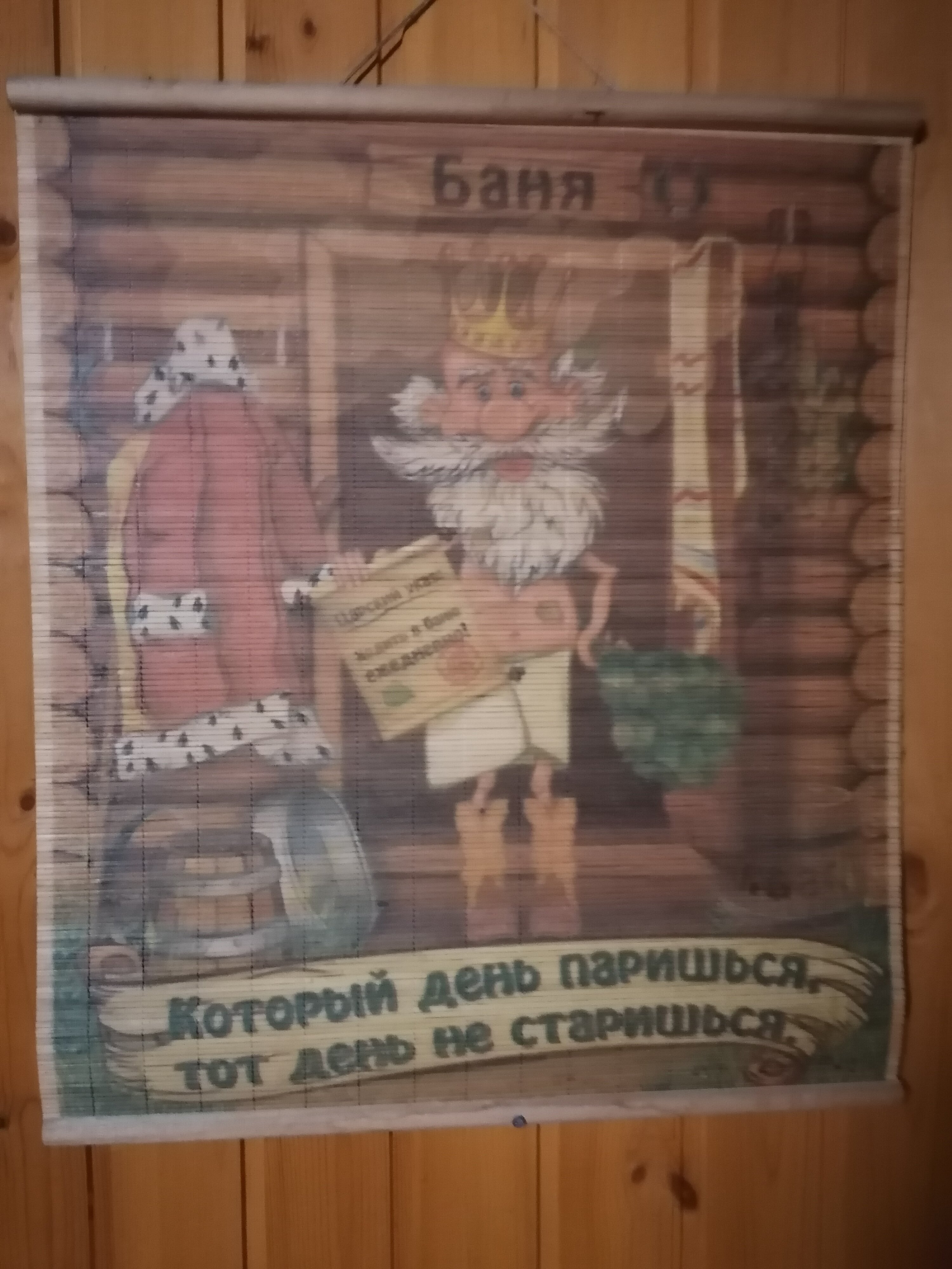 Фото Летний сад