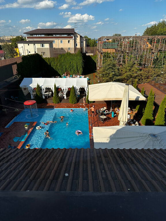 Фото Птицы и пчелы