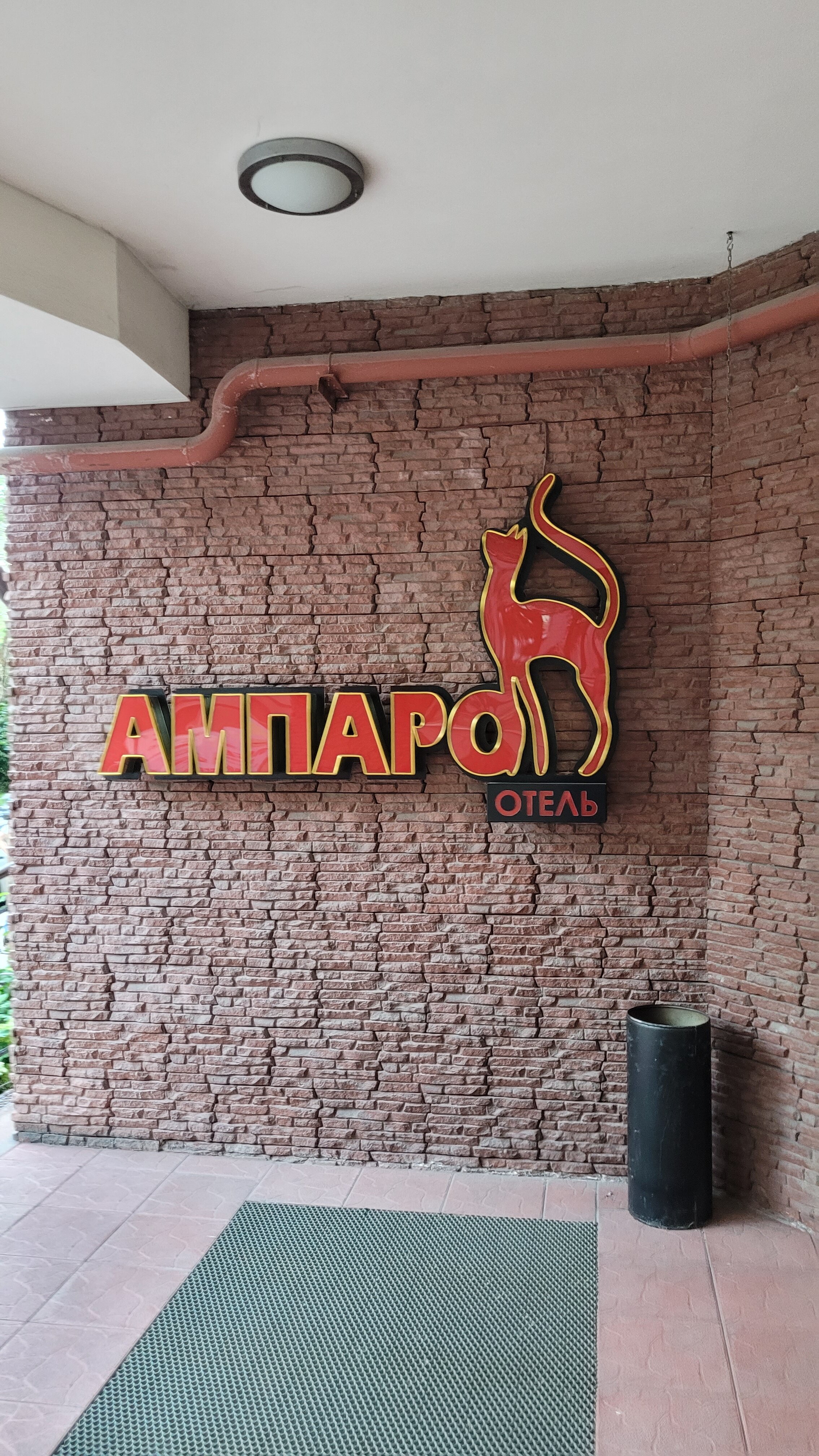 Фото Ампаро