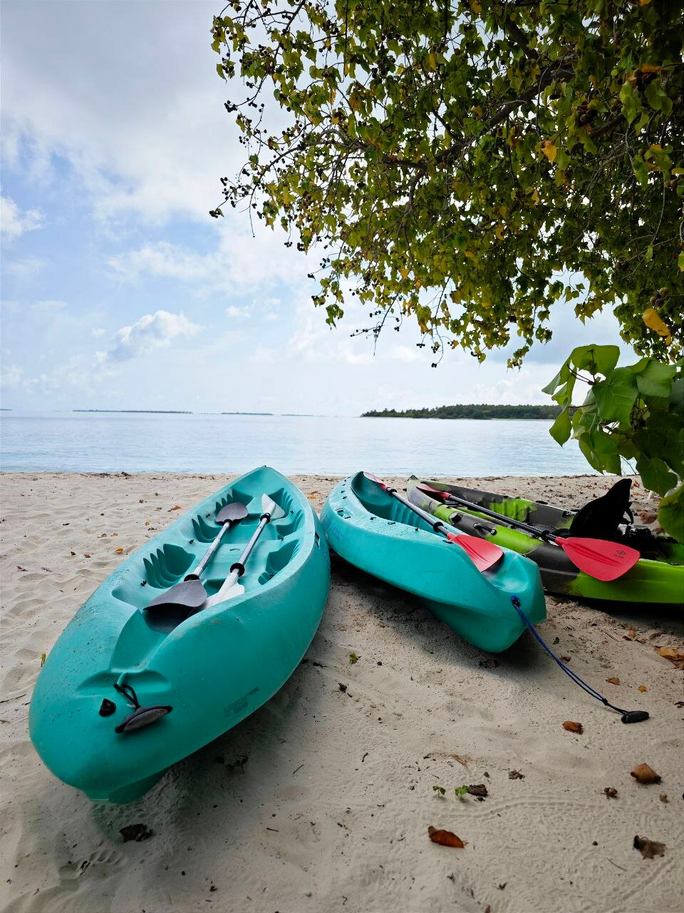 Фото Dhonfulhafi Beach View & SPA