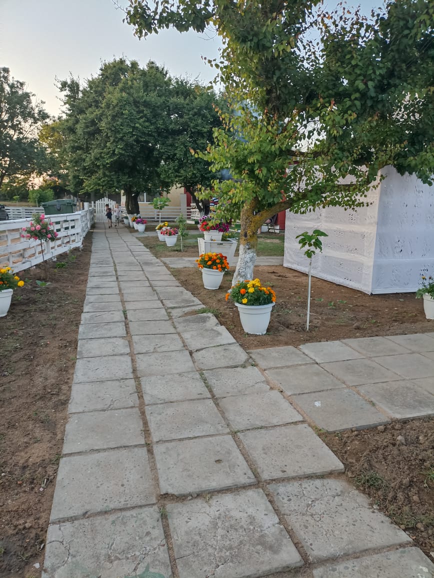 Фото Владилена