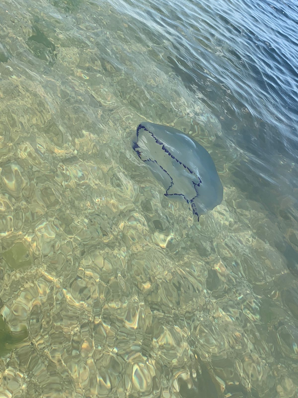 Фото Берег Крыма