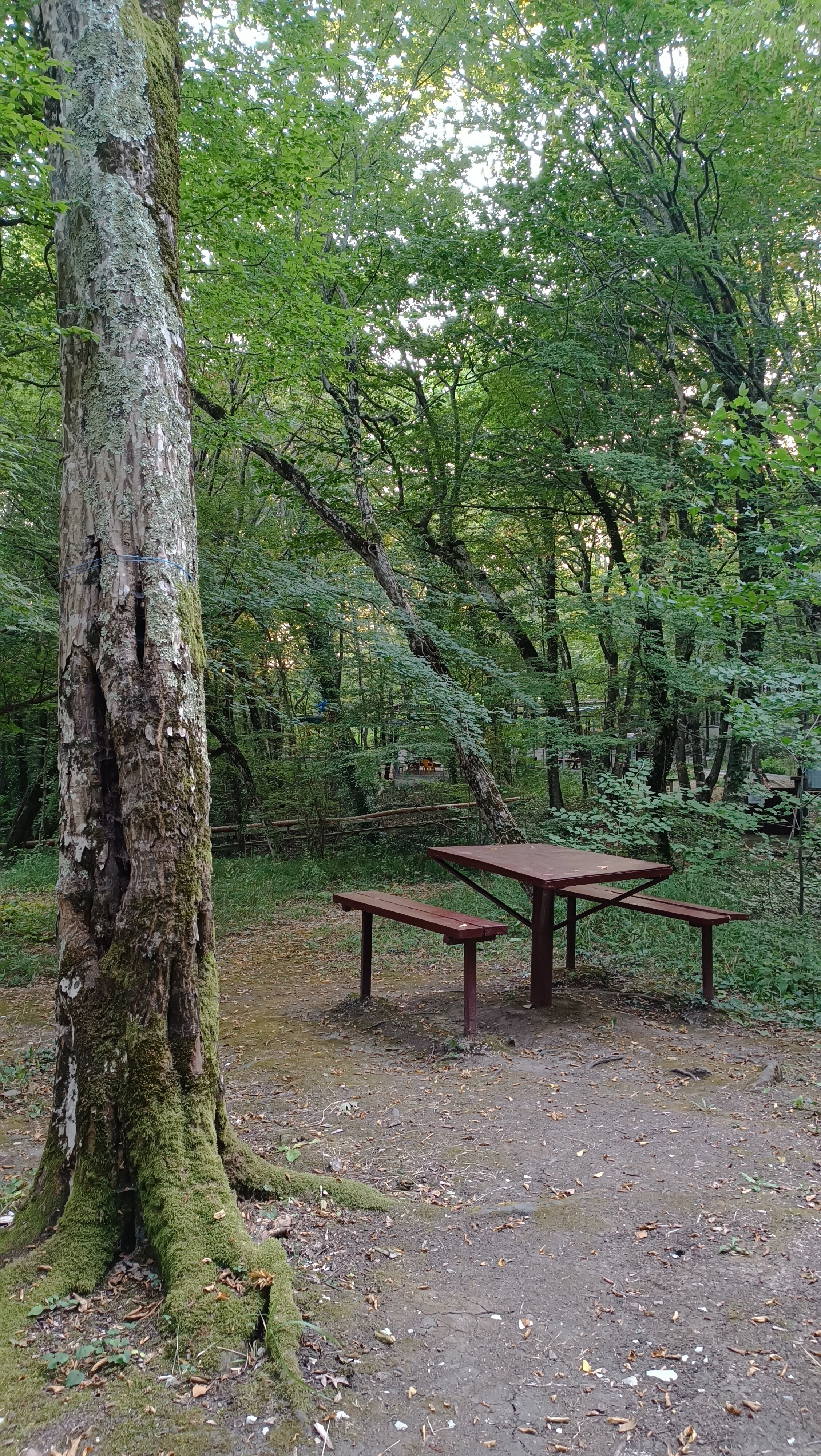 Фото Inal Bay Виктория