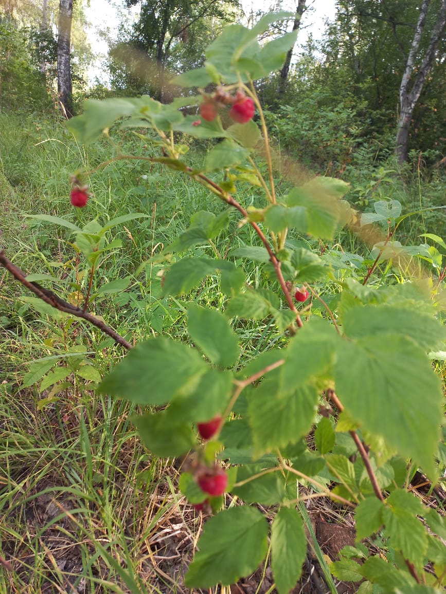 Фото Кубагушево Вилладж