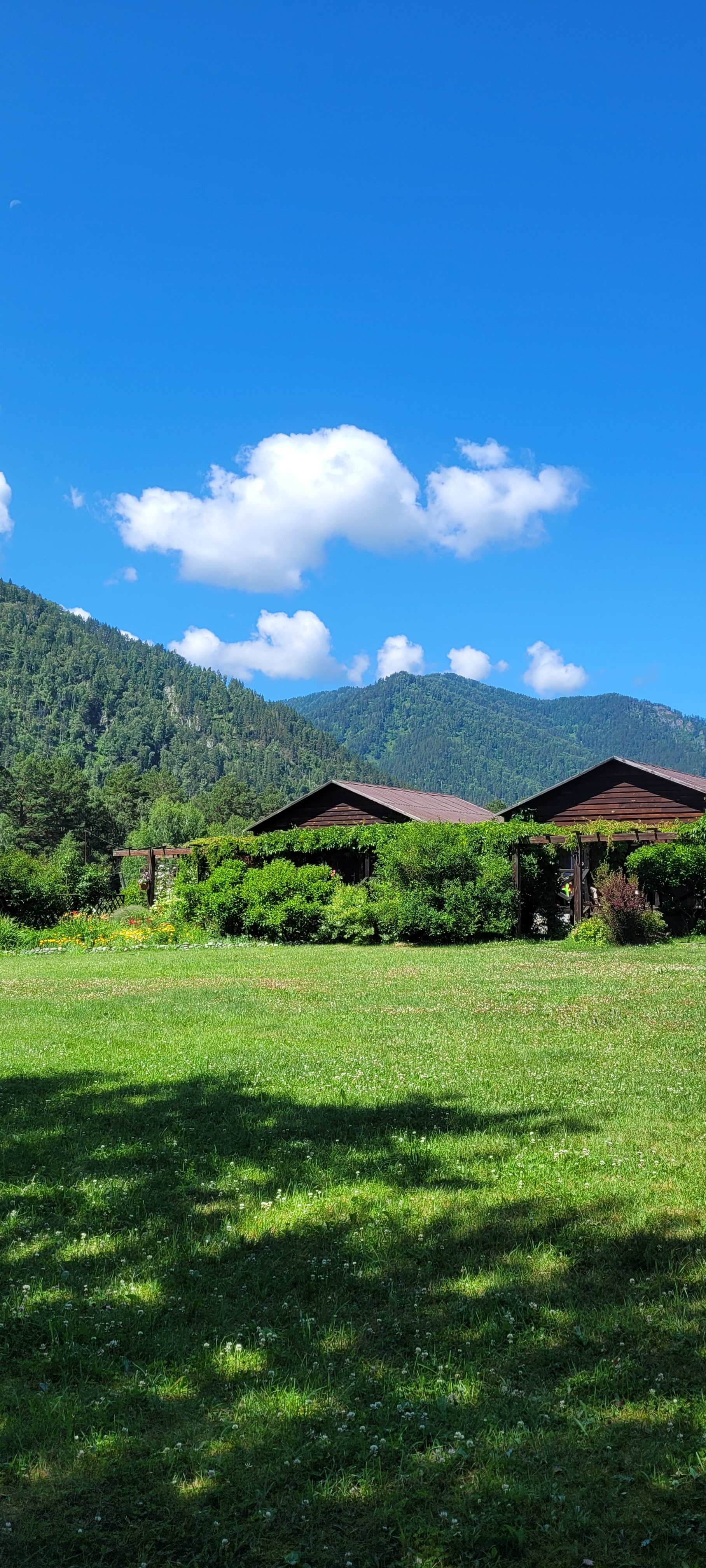 Фото Усадьба толстяка МО