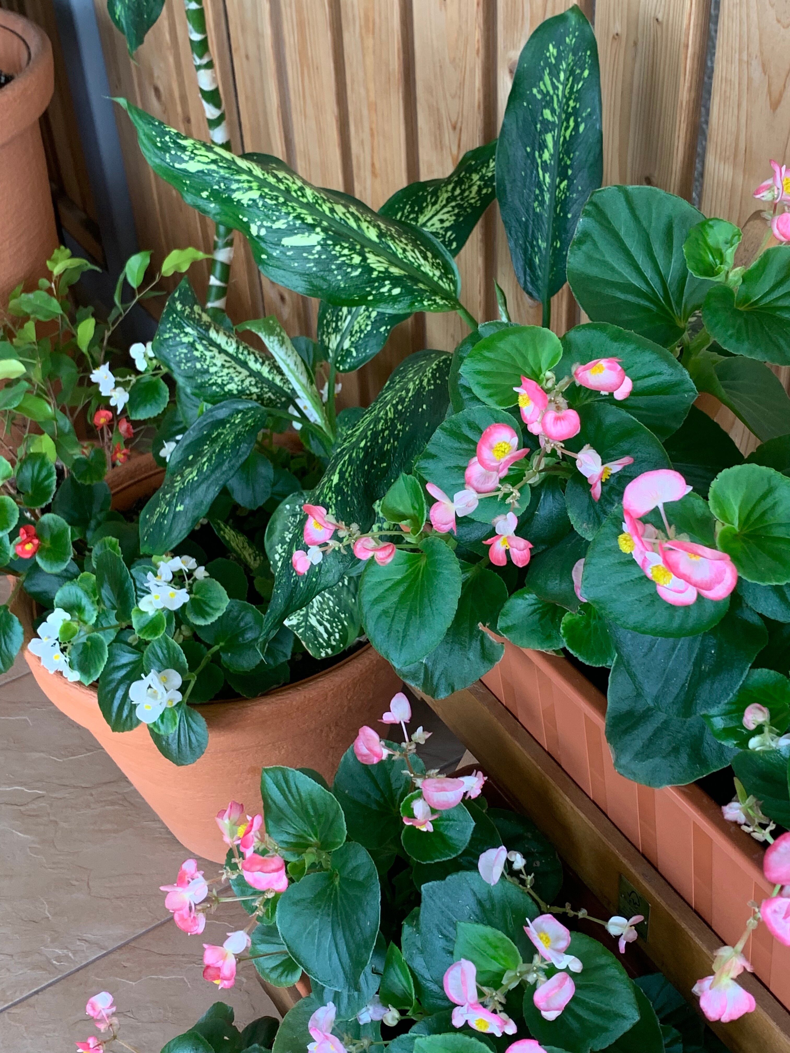 Фото Гармония