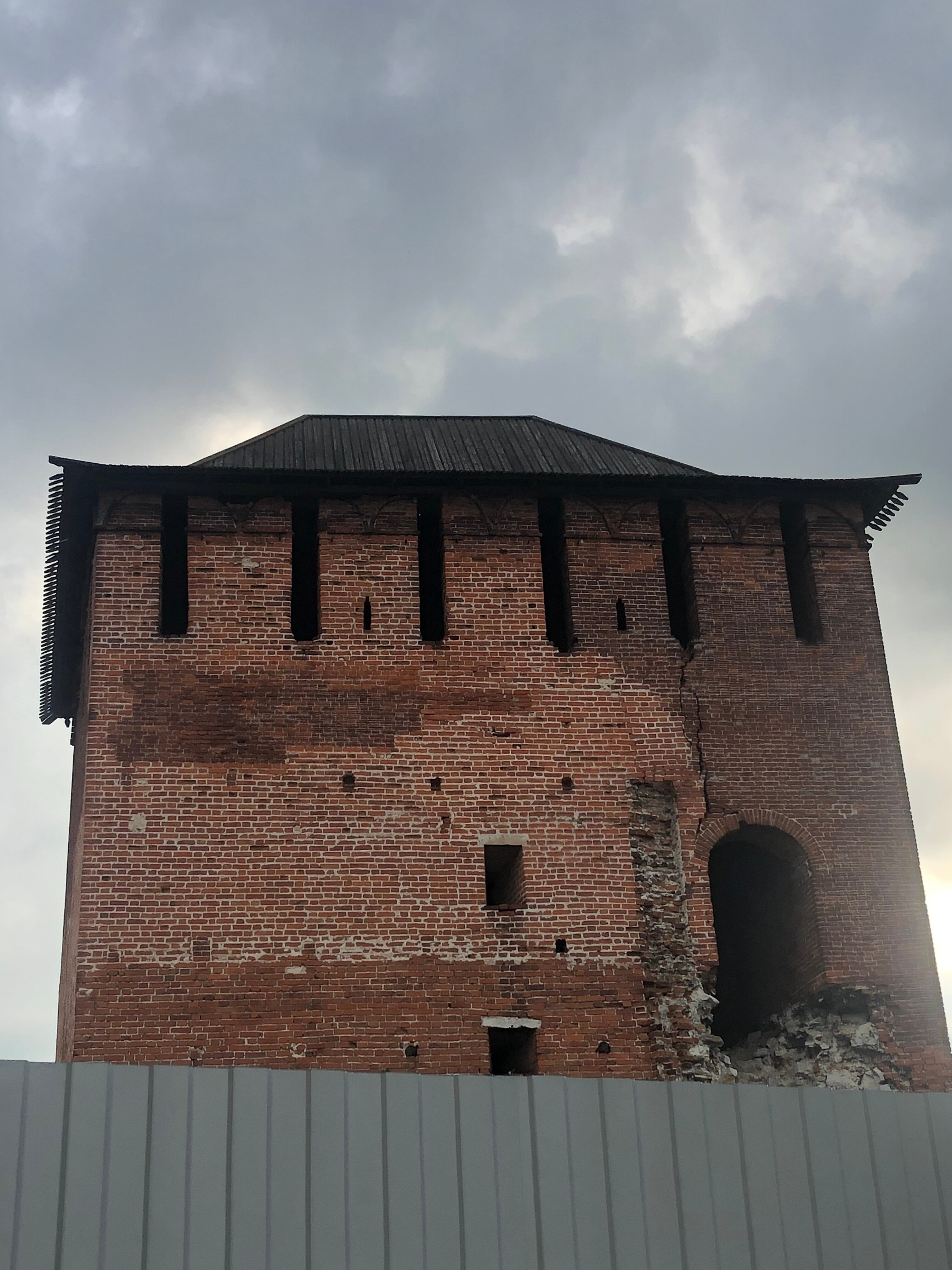 Фото  Гнездо