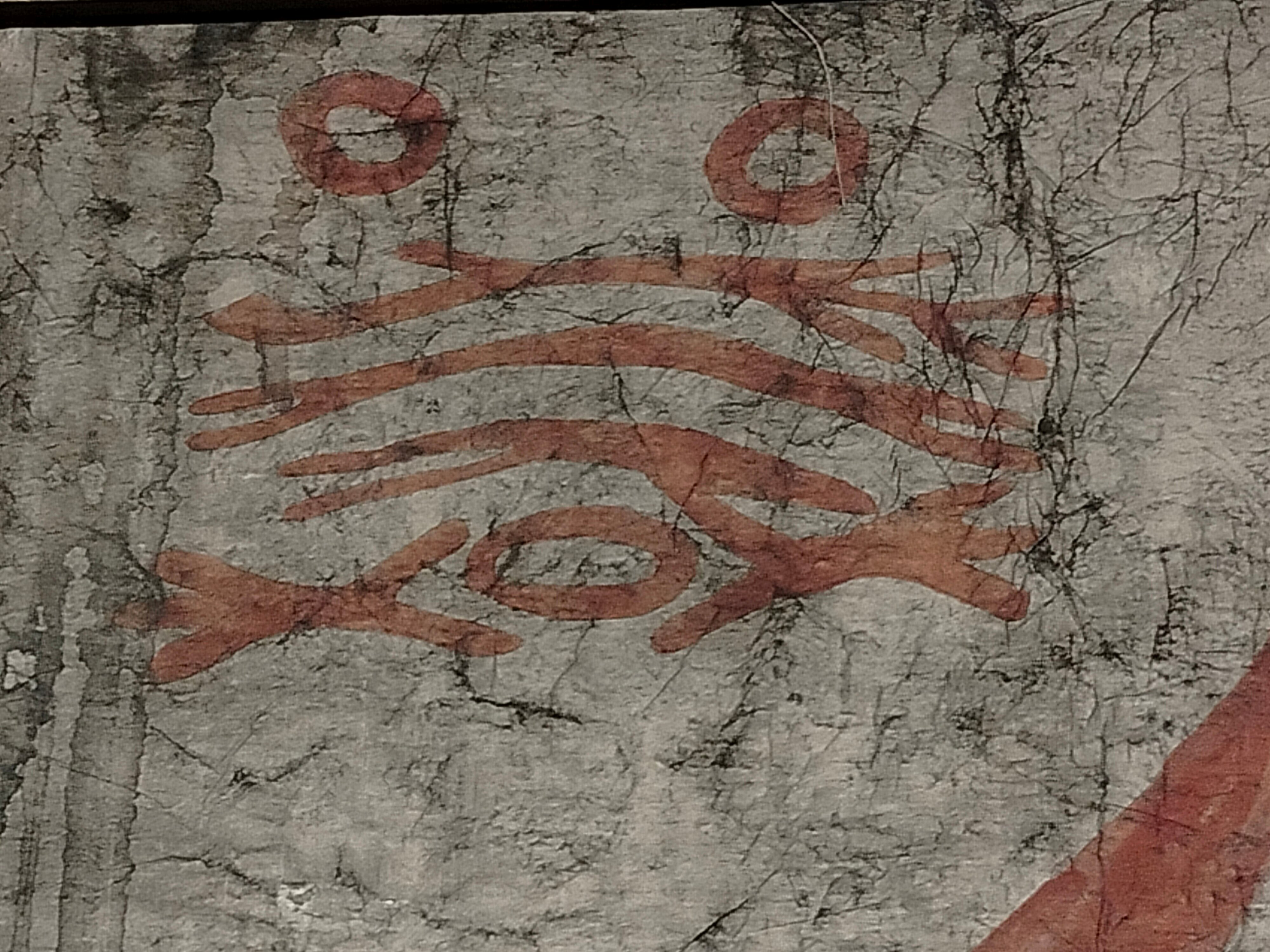 Фото Чалпан