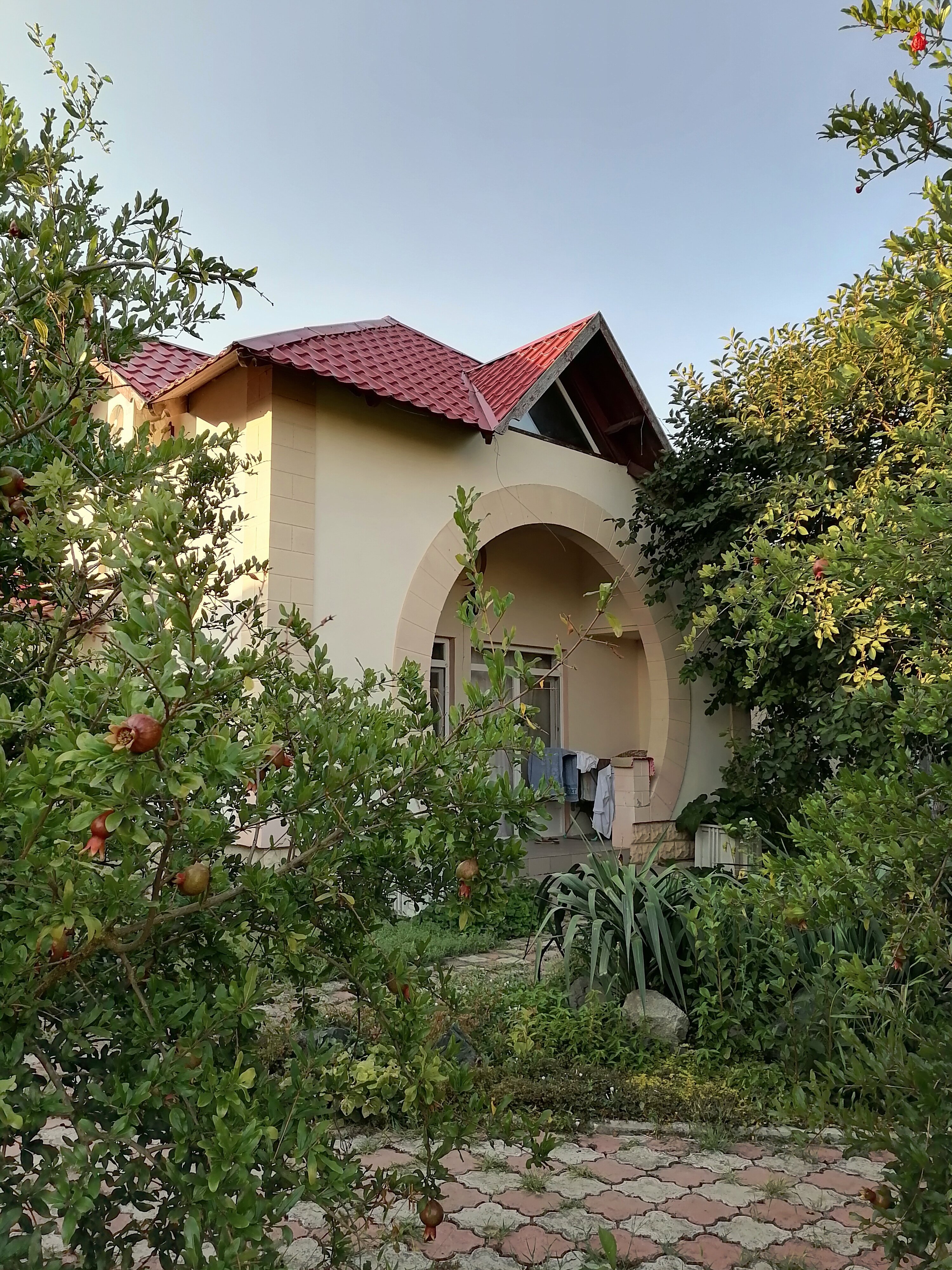 Фото Ройтош