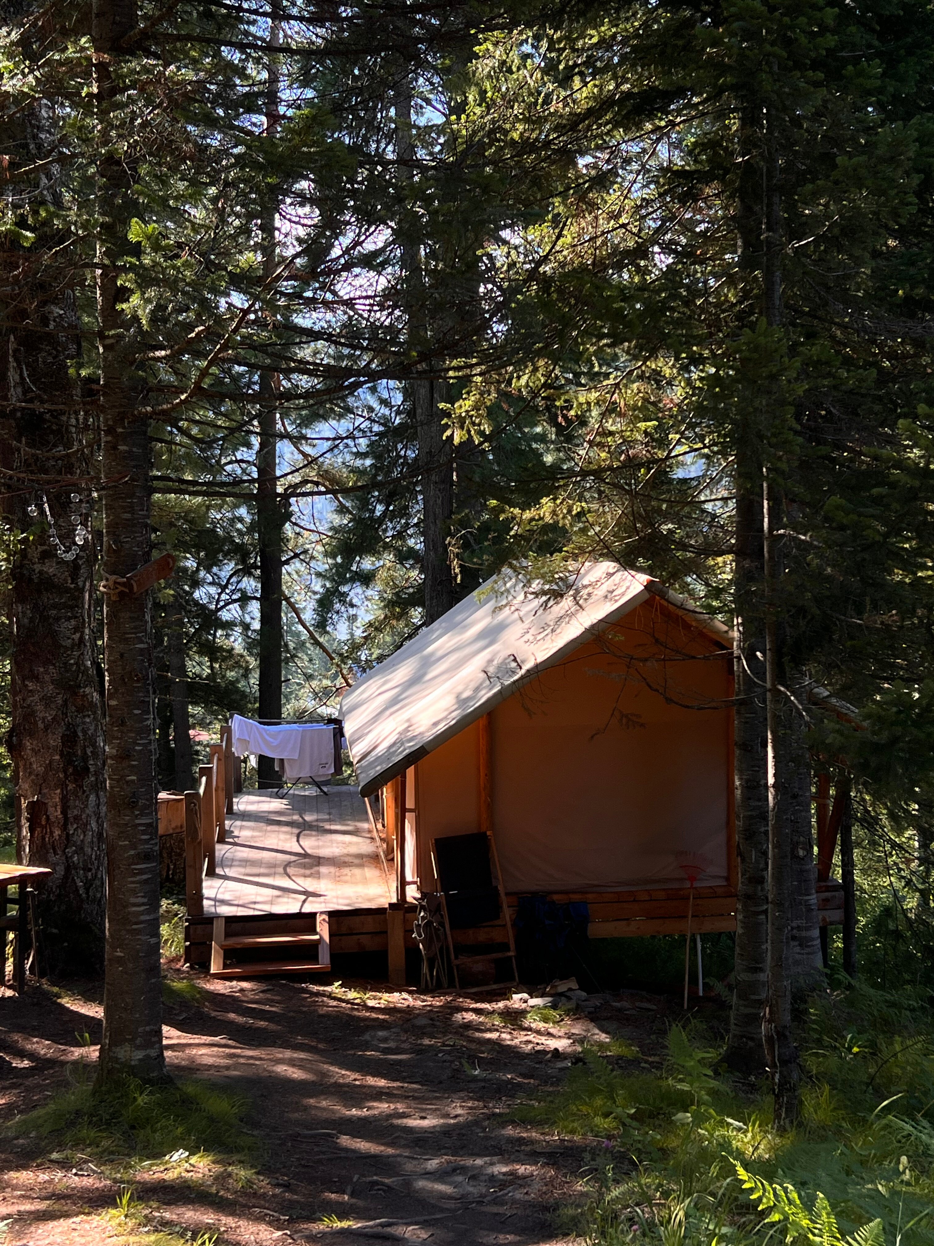 Фото Кедровая берлога