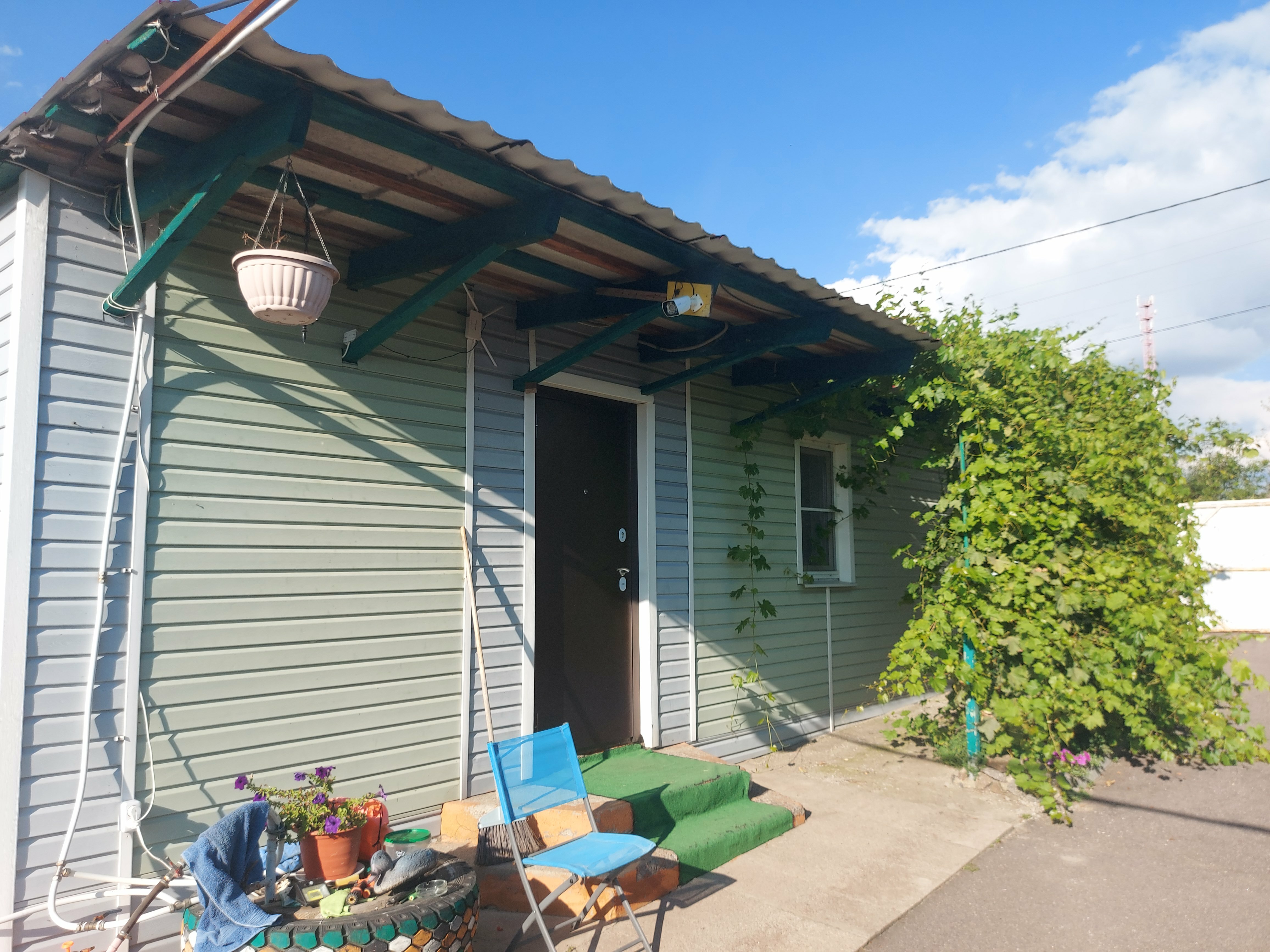 Фото Ивушка