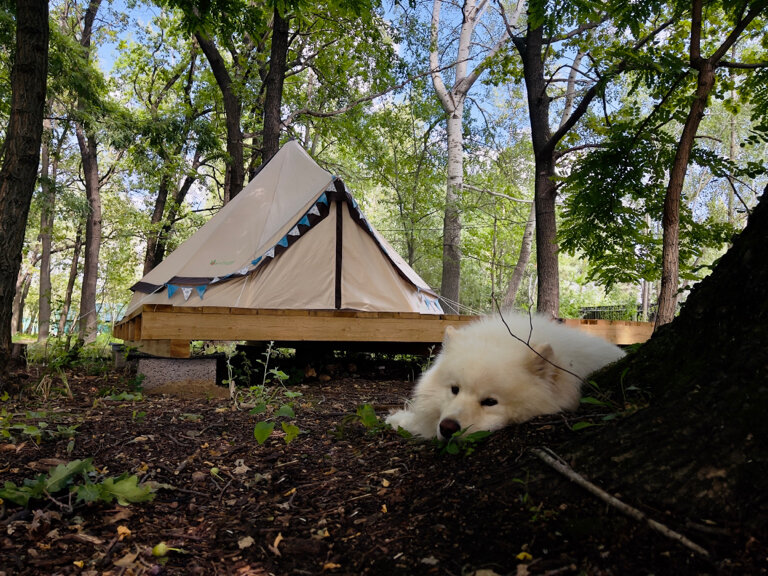 Фото Натура