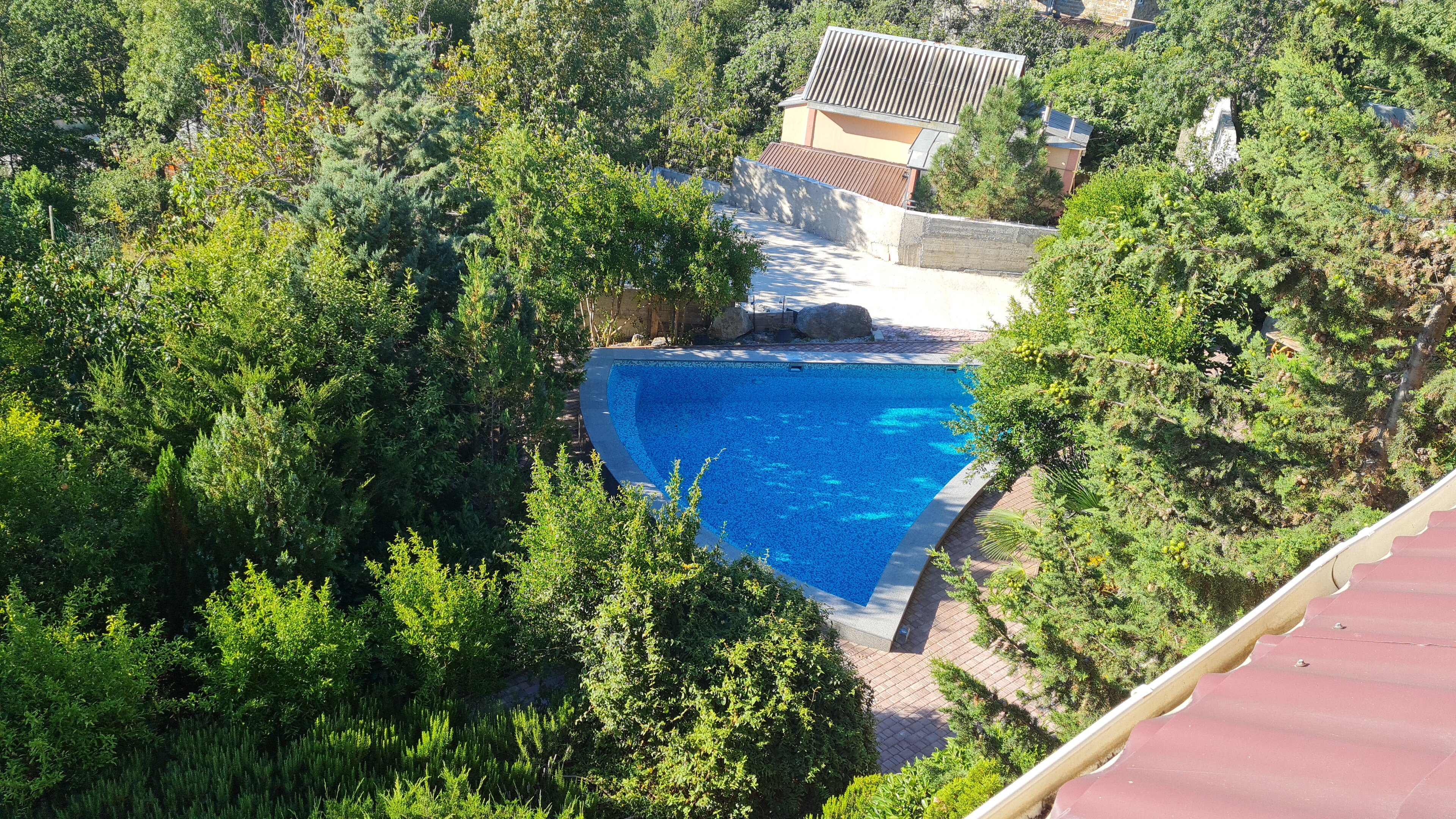 Фото Кипарис