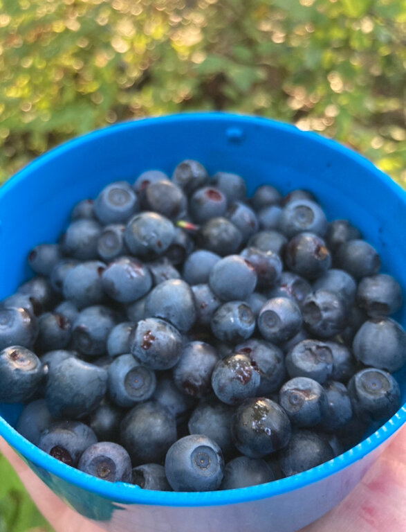 Фото Усадьба на Шамокше