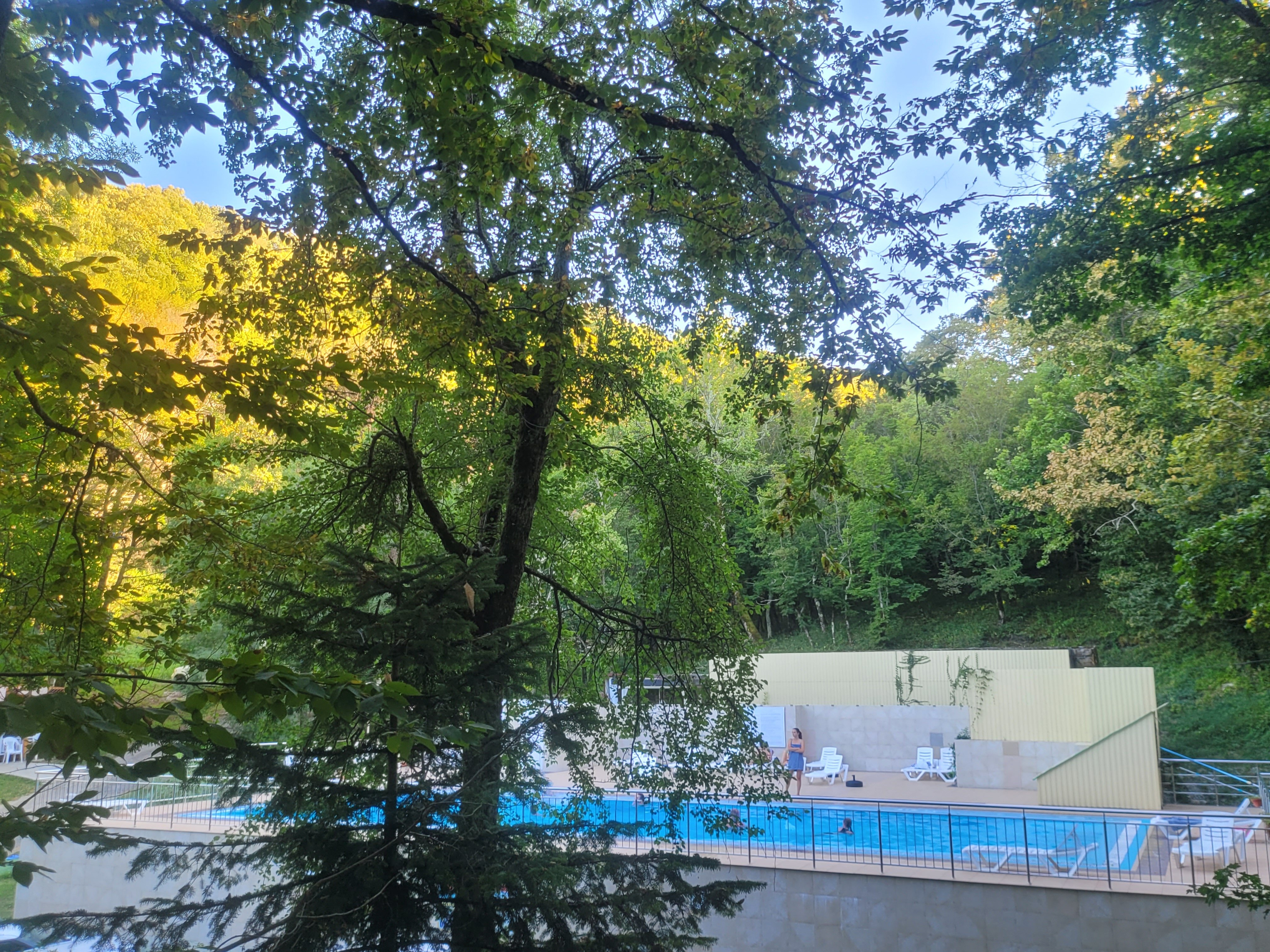 Фото Примула